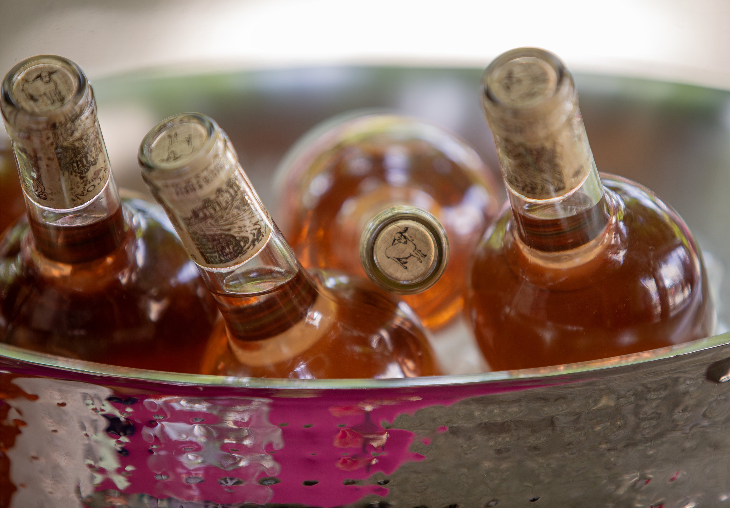 Pink_Party_2026_87.jpg