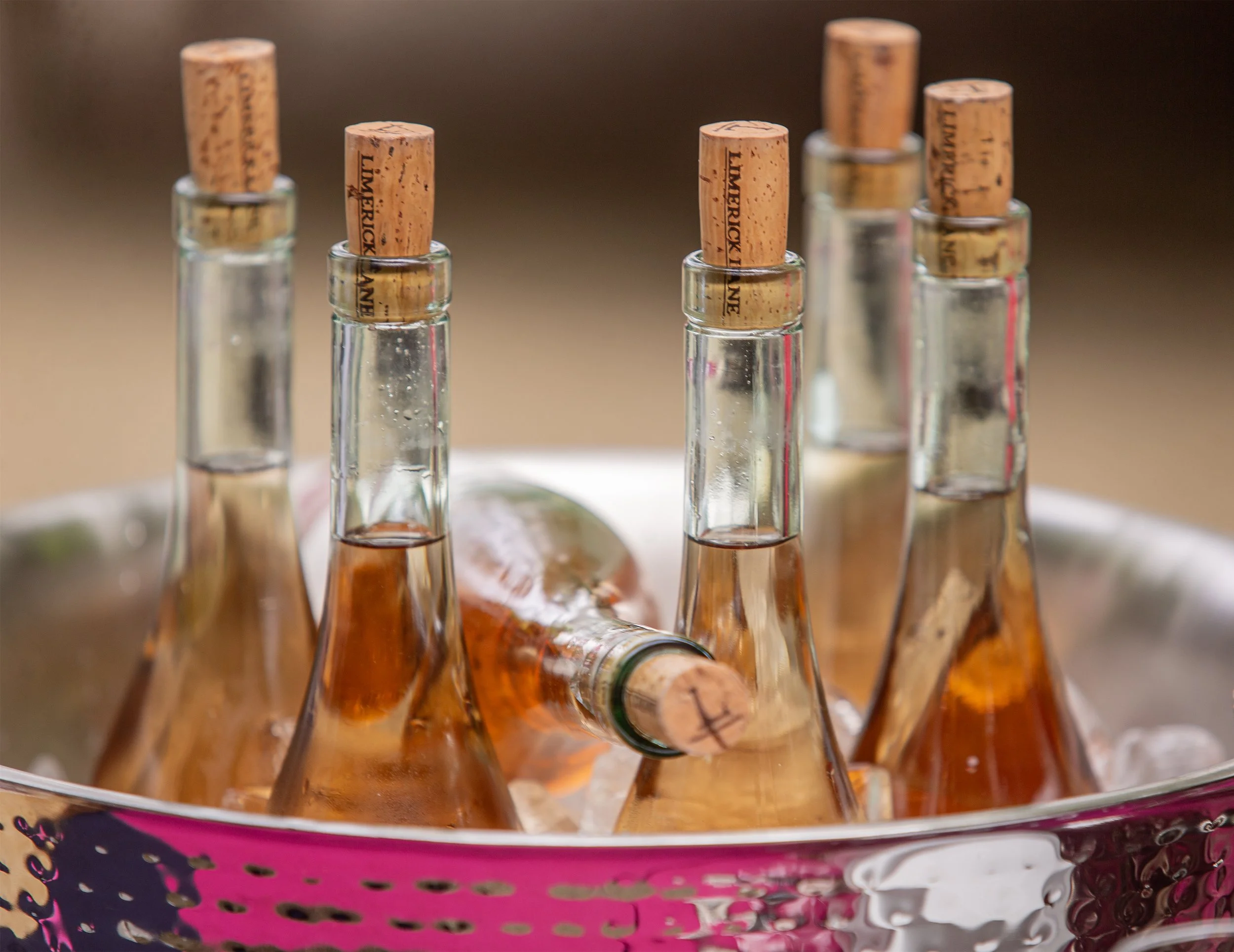 Pink_Party_2026_32.jpg