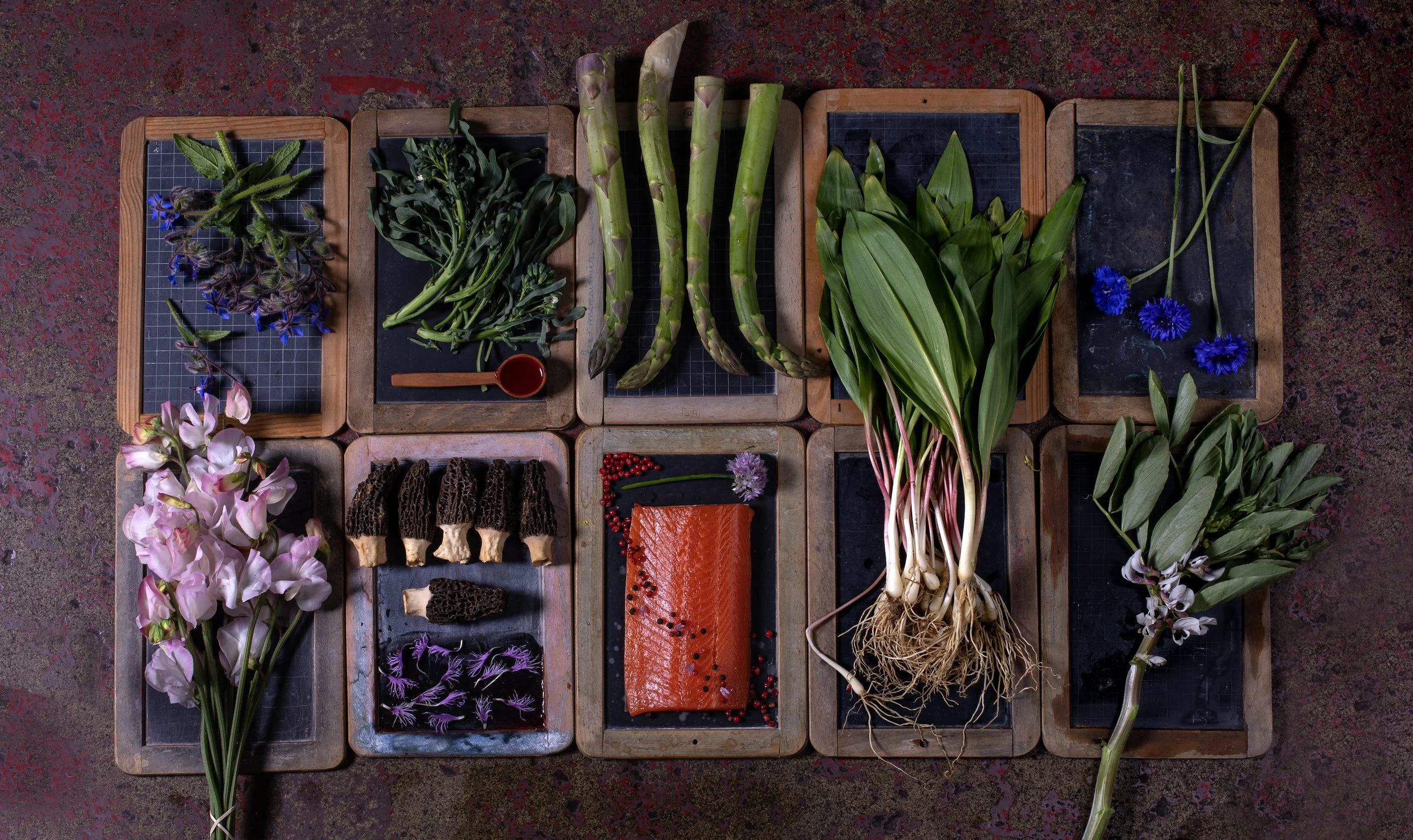 BD_Spring_Web_Opener_2023 copy.jpg