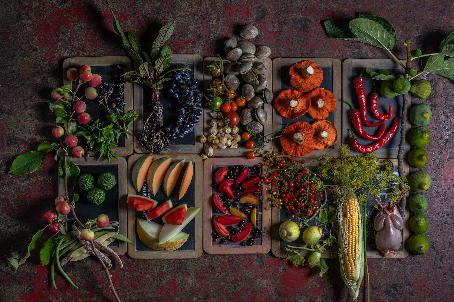 Studio Barndiva Summer_.png