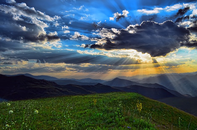 nature-3048299_640.jpg