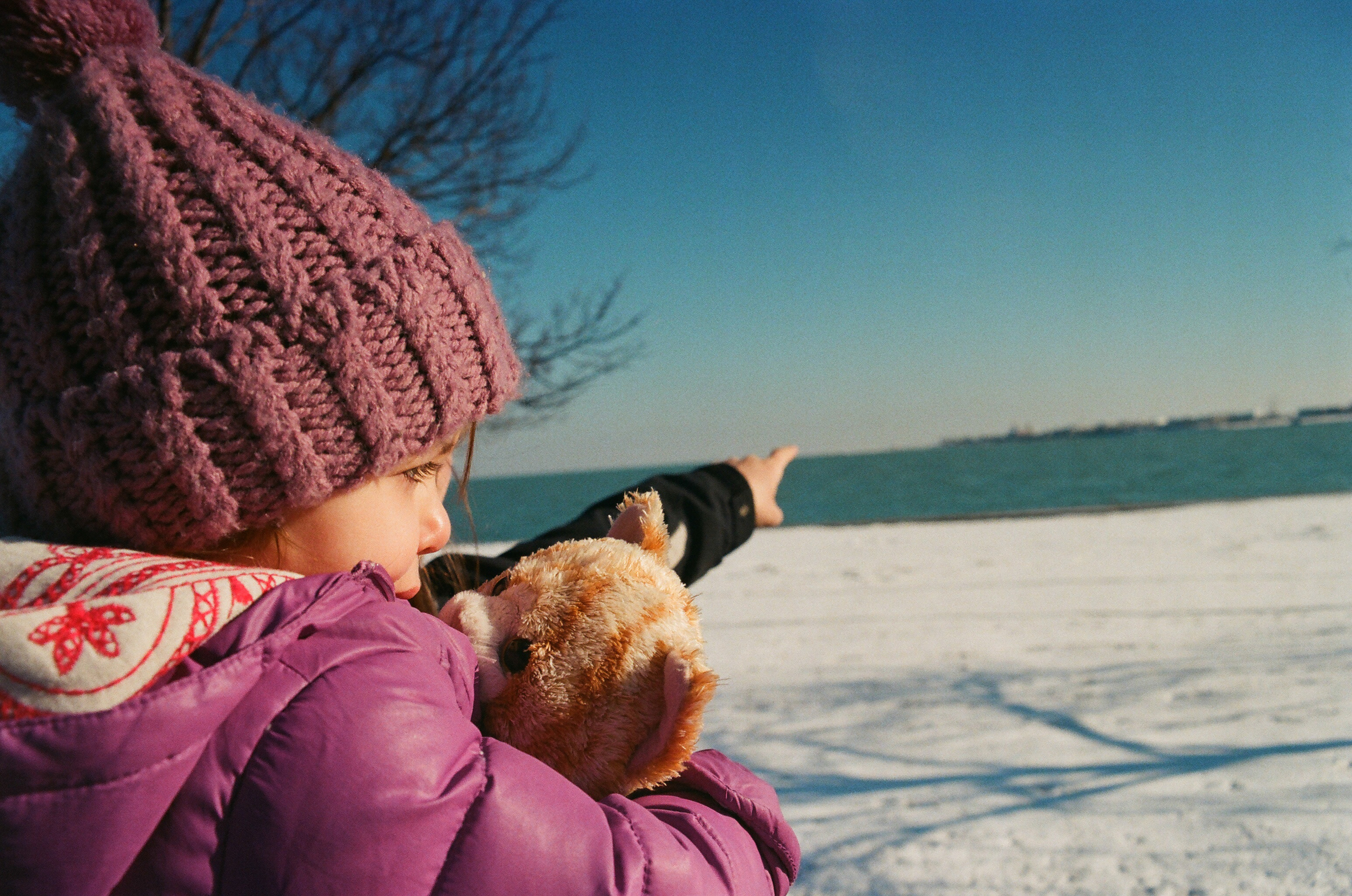 "Look,&nbsp;Simba. Everything the light touches..."