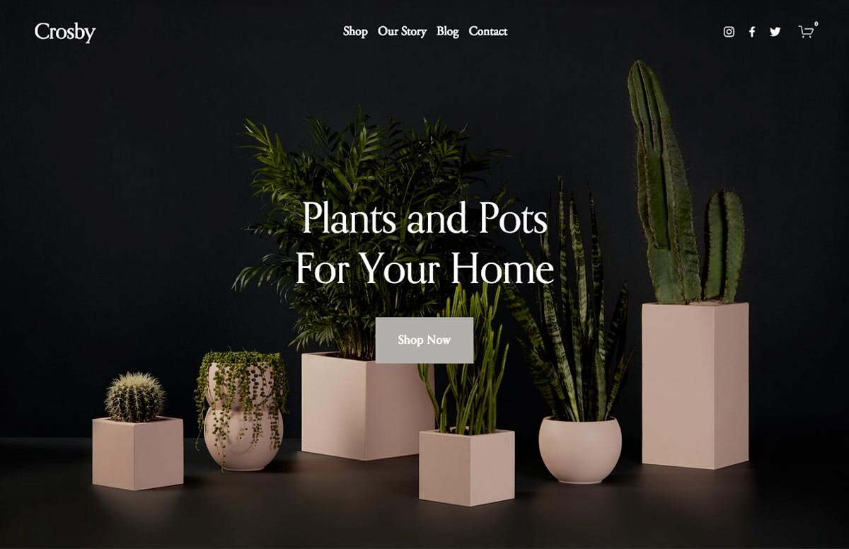 plants-website.jpg