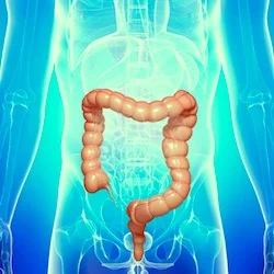 Glowing Colon 2.jpeg
