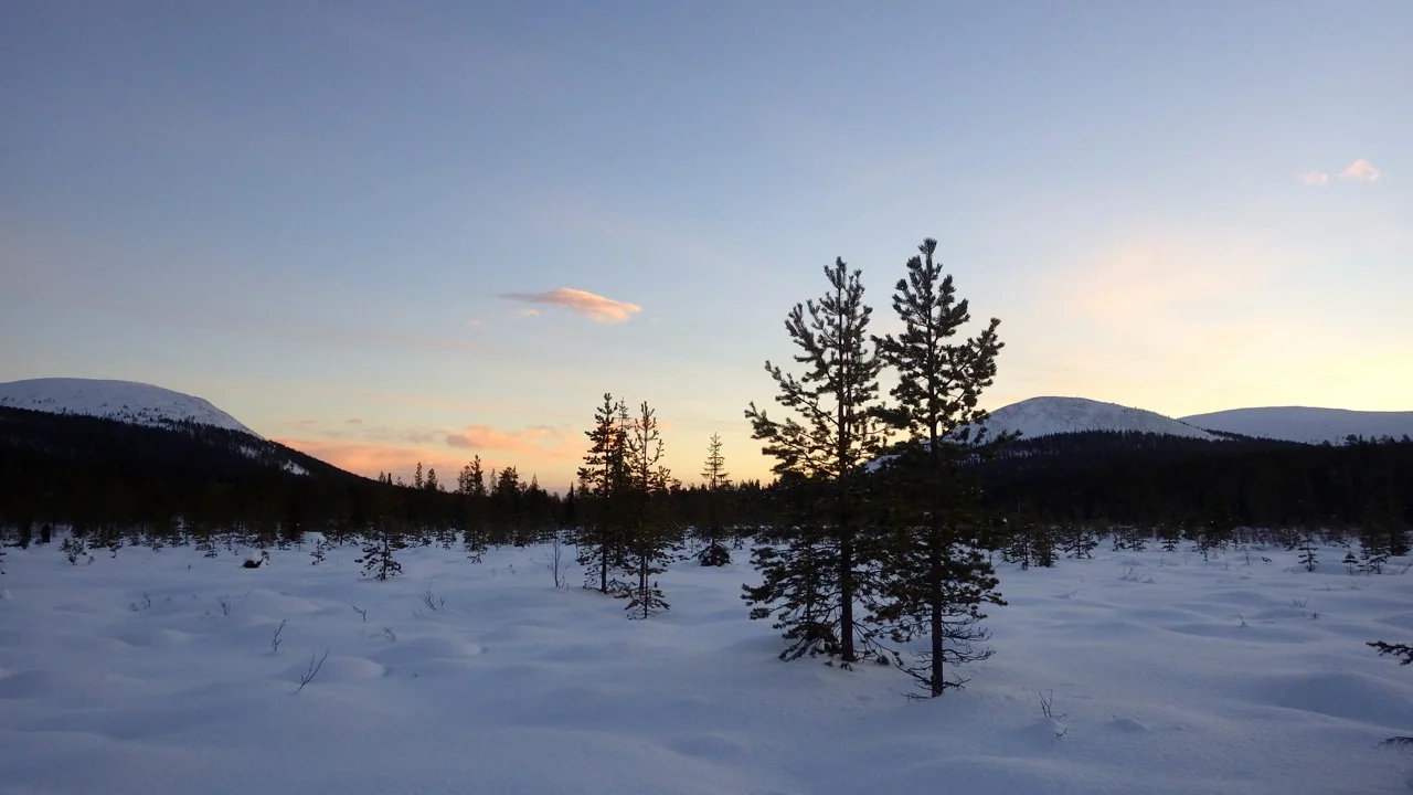Daylight at Ylläs, the sun gets close to the horizon, but not quite there!