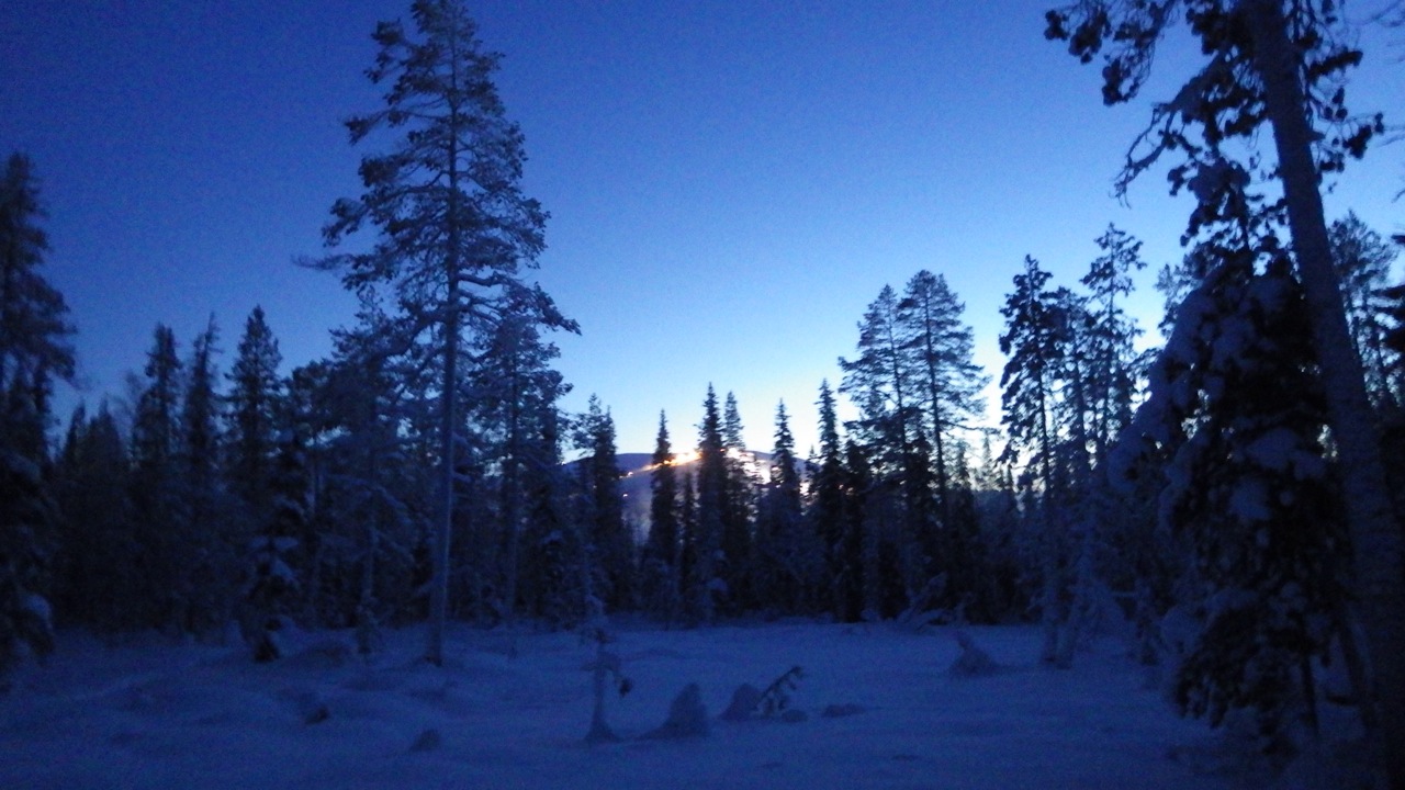 Blue ylläs.jpg
