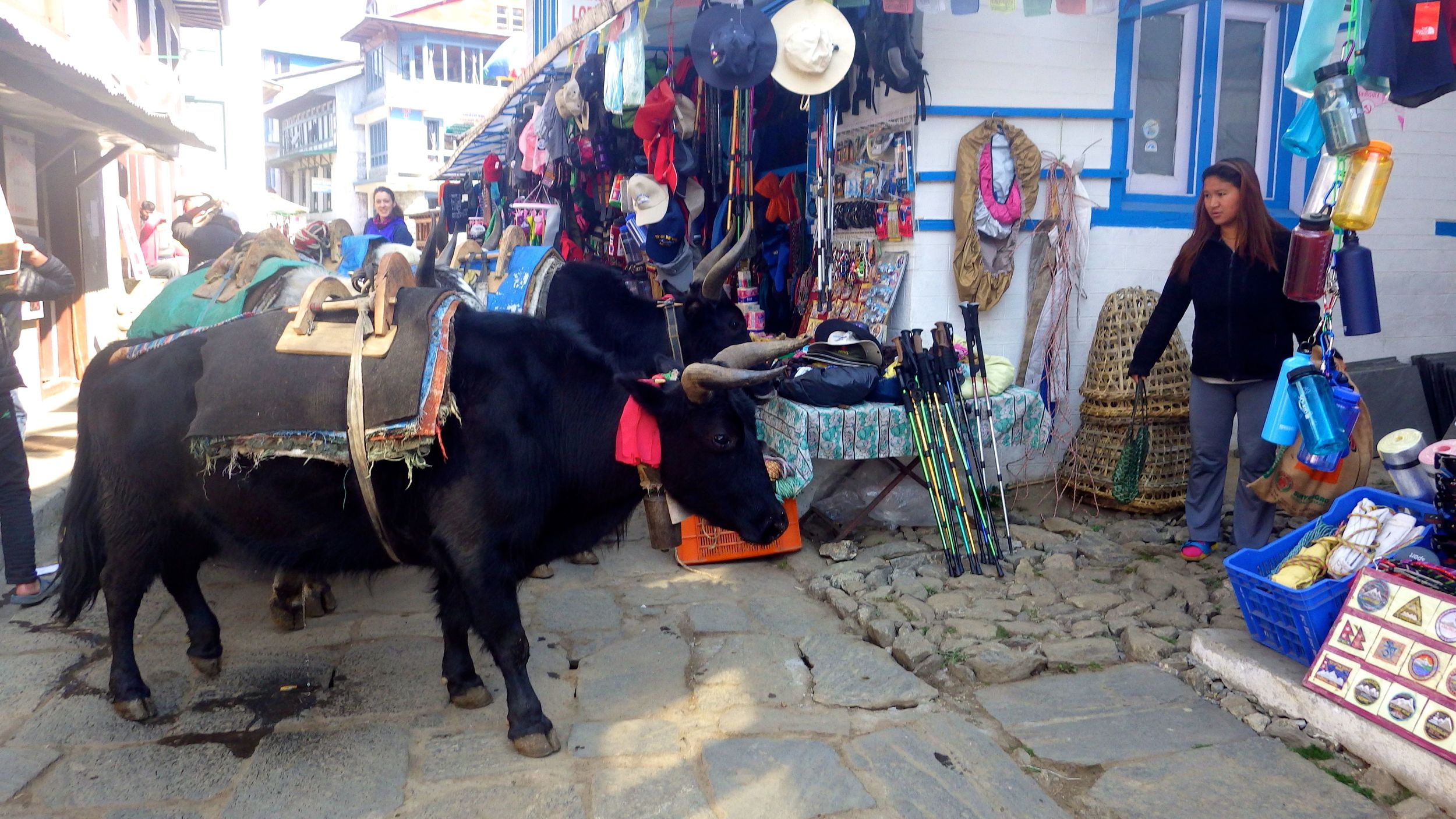 Streetview in Lukla. Google has, by the way, in their maps photos up to Base Camp and beyond if youwant to take a virtual trip.
