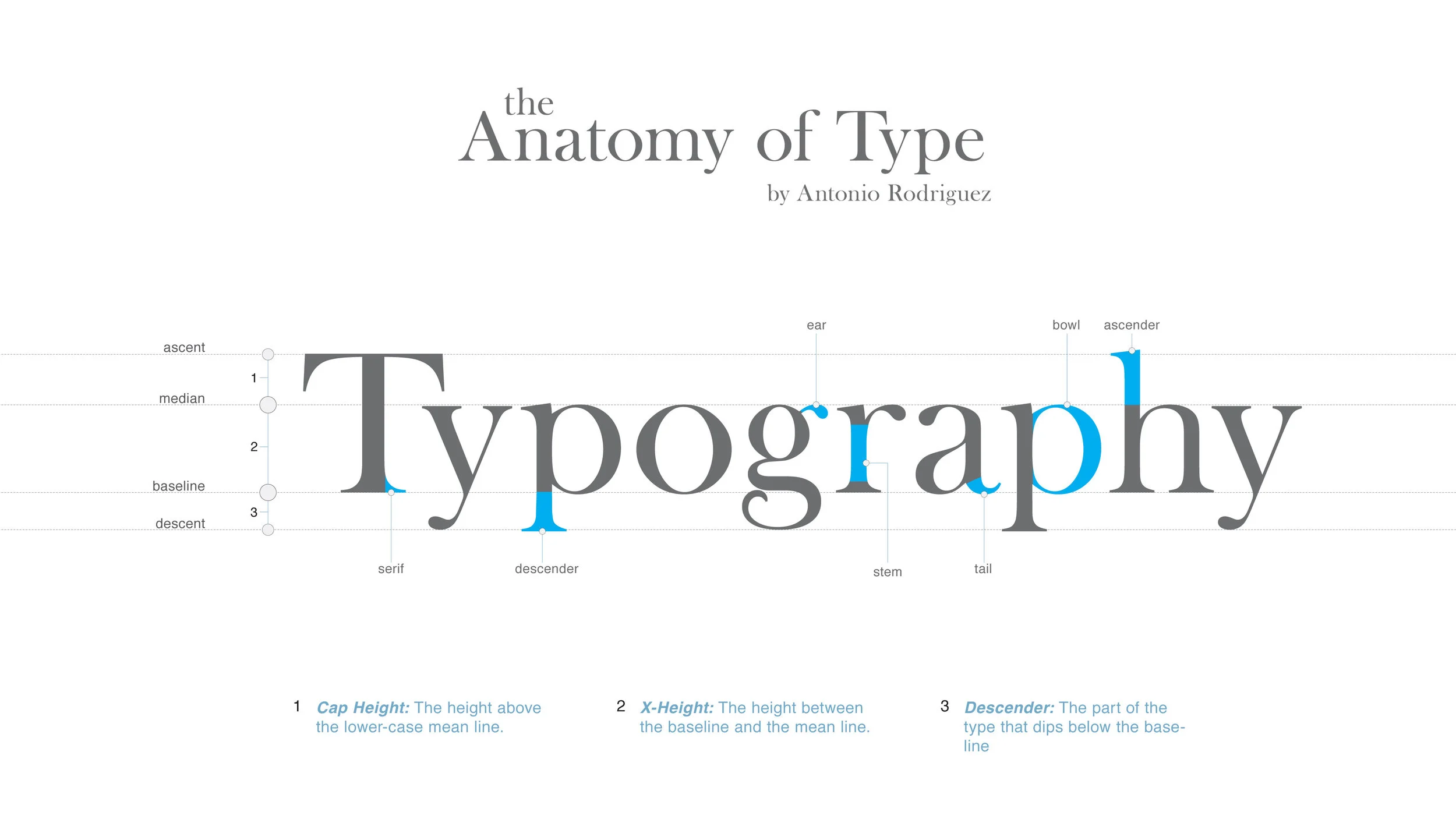 Anatomy of type-01.jpg