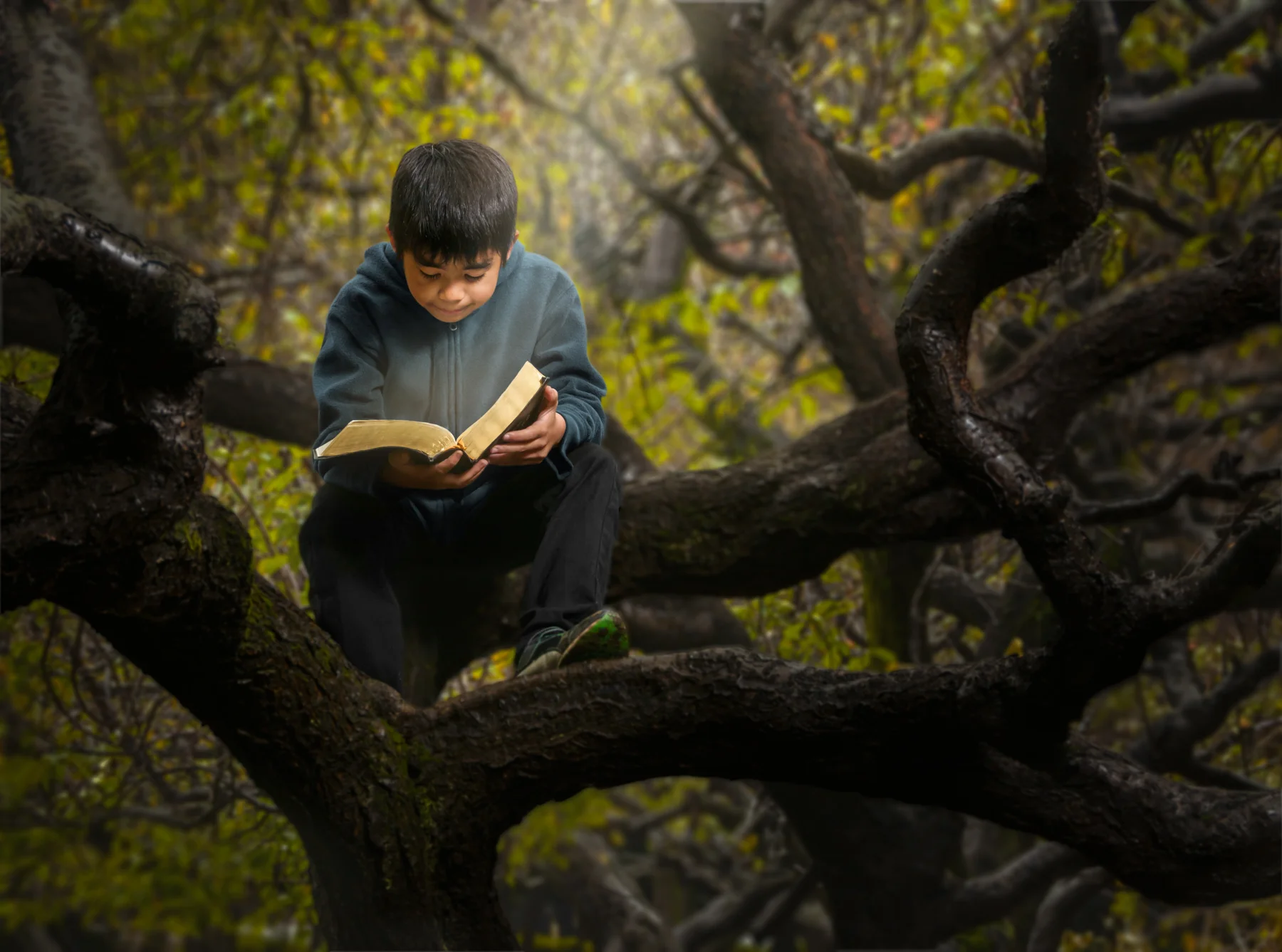  BOY DISCOVER THE BOOK OF WONDERS. (November 2015)