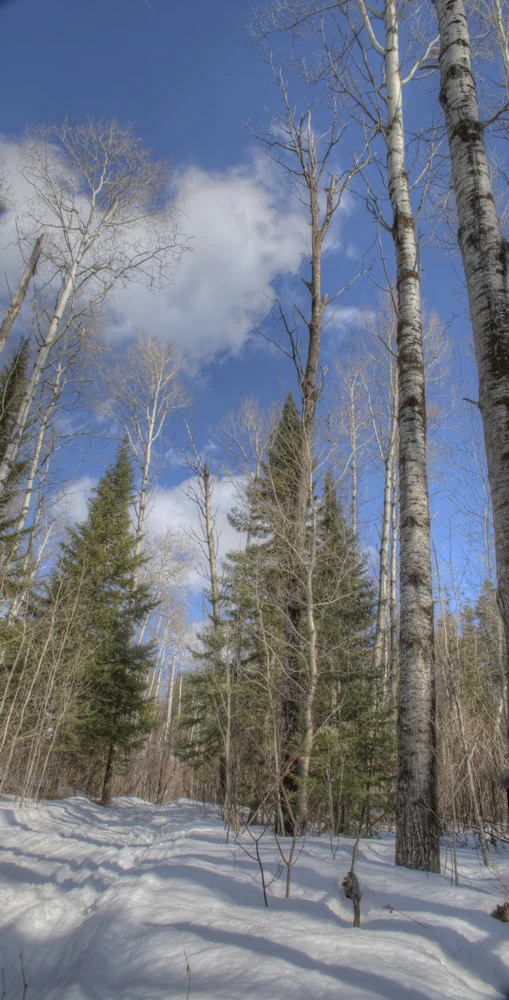 IMG_8511-8516Pano.jpg