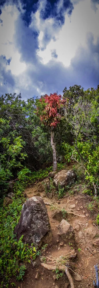 IMG_5785-5794pano.jpg