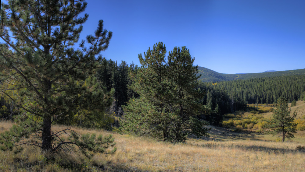 IMG_0616_7_8Panorama.jpg