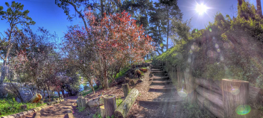 !IMG_0349-0369pano.jpg