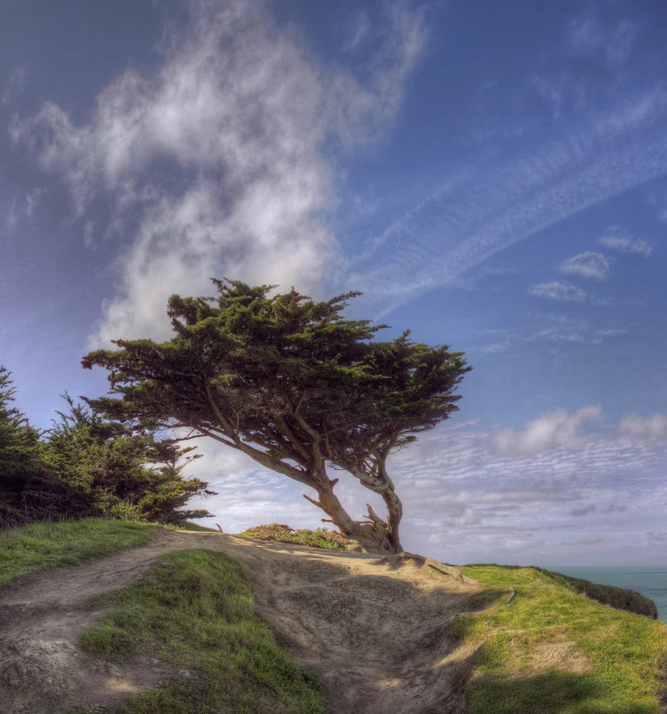 !IMG_8274-8282pano.jpg