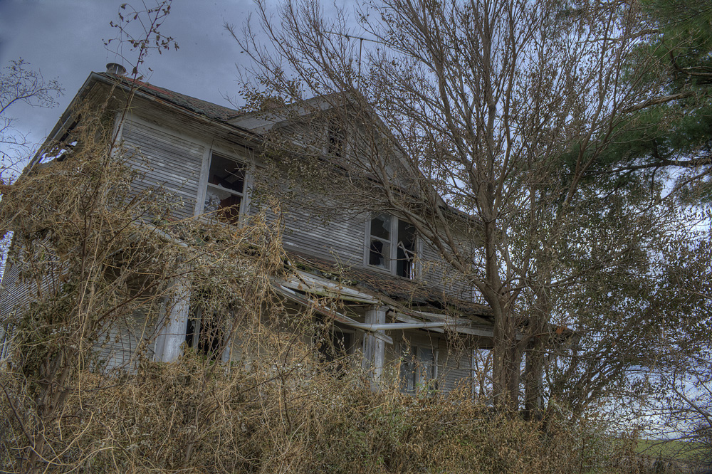 IMG_3451_2_3_tonemapped.jpg