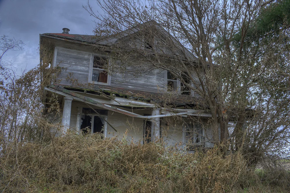 IMG_3448_49_50_tonemapped.jpg