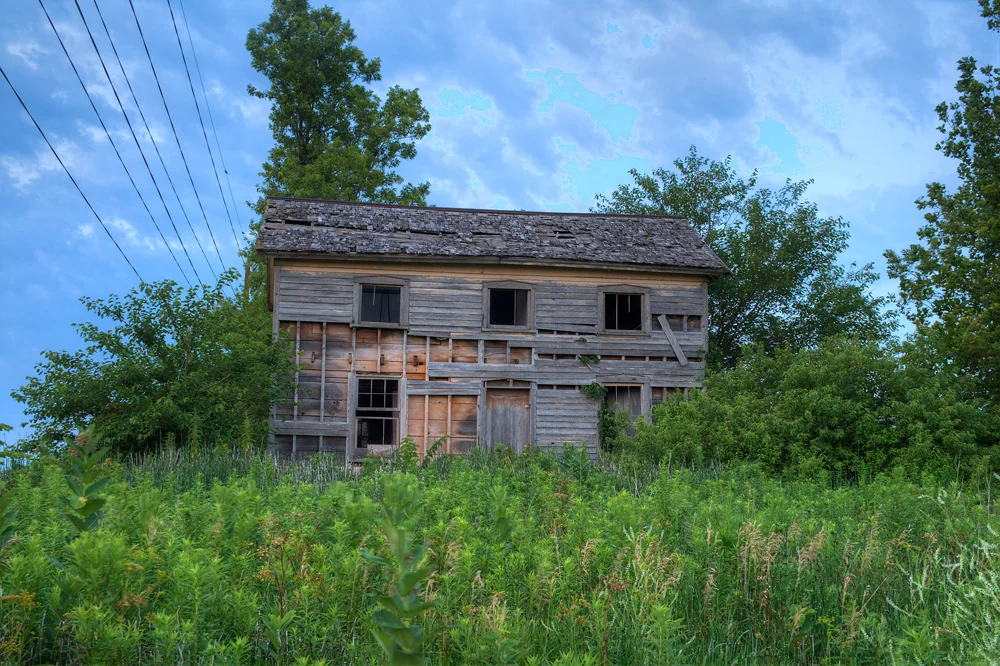 IMG_6134_5_6_tonemapped.jpg