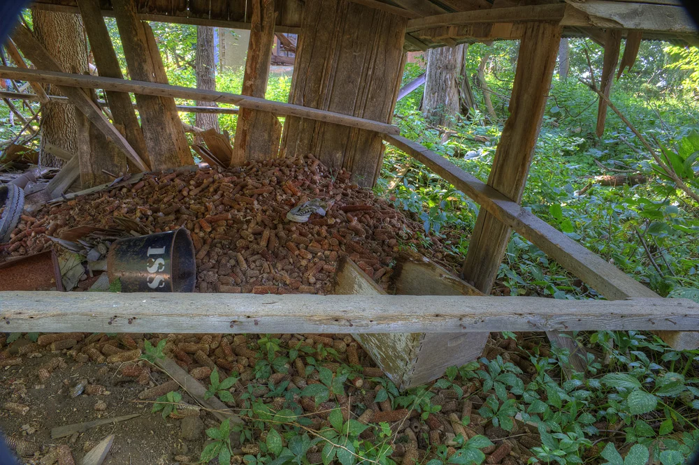 IMG_6232_3_4_tonemapped.jpg