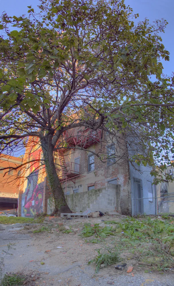 IMG_1910-1924pano.jpg
