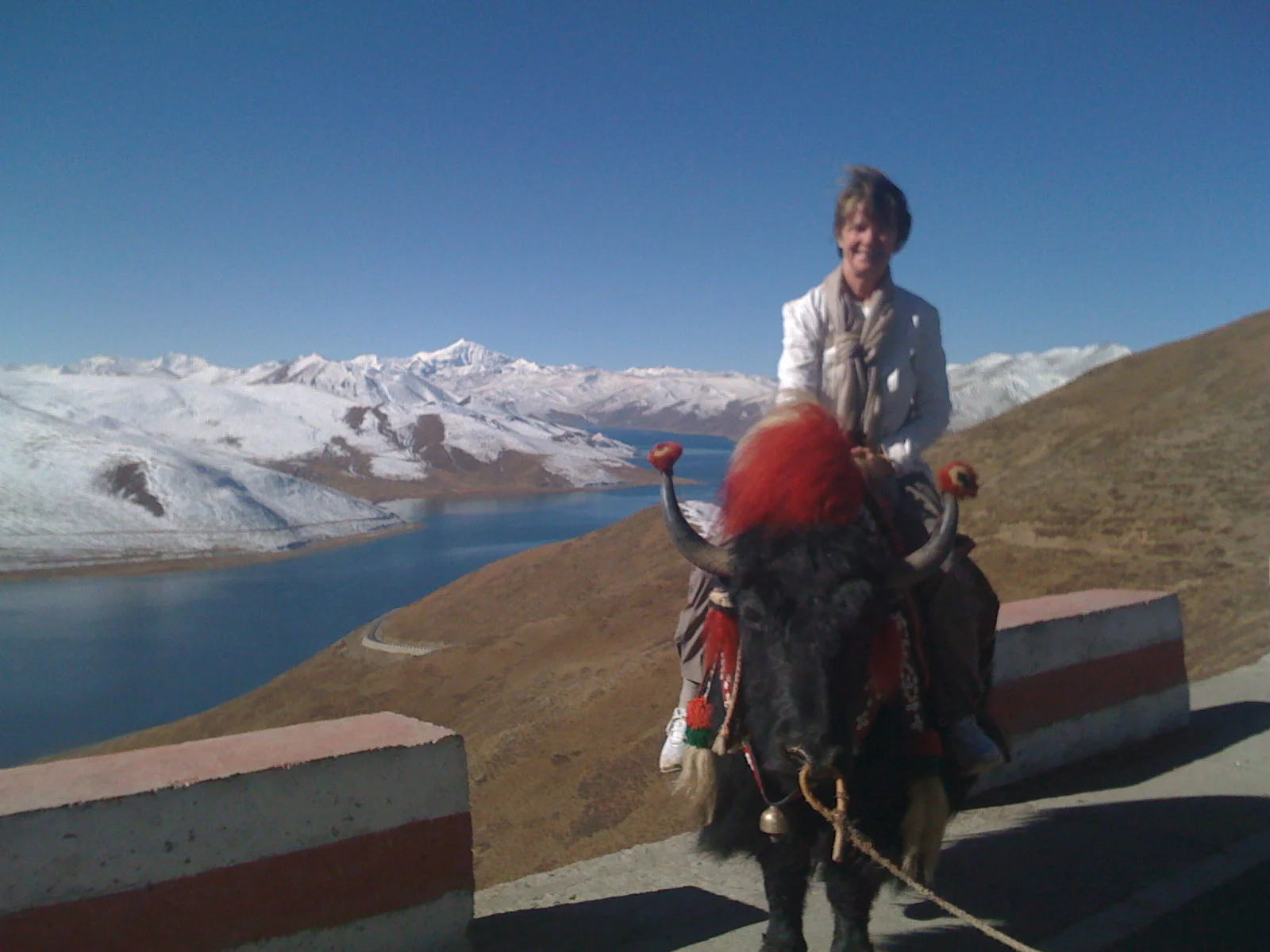 My Mother on a yak in Tibet, 2008