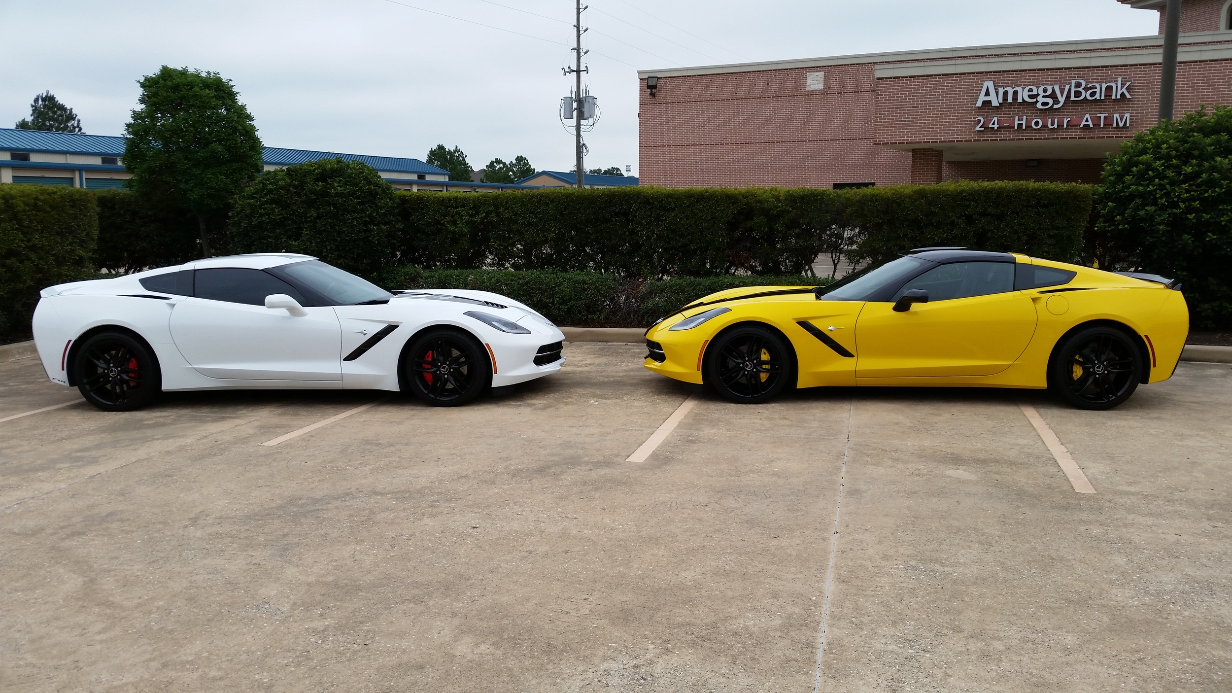 Sandy & Don (white) and Laurie & Tom (yellow) compare their new Vettes