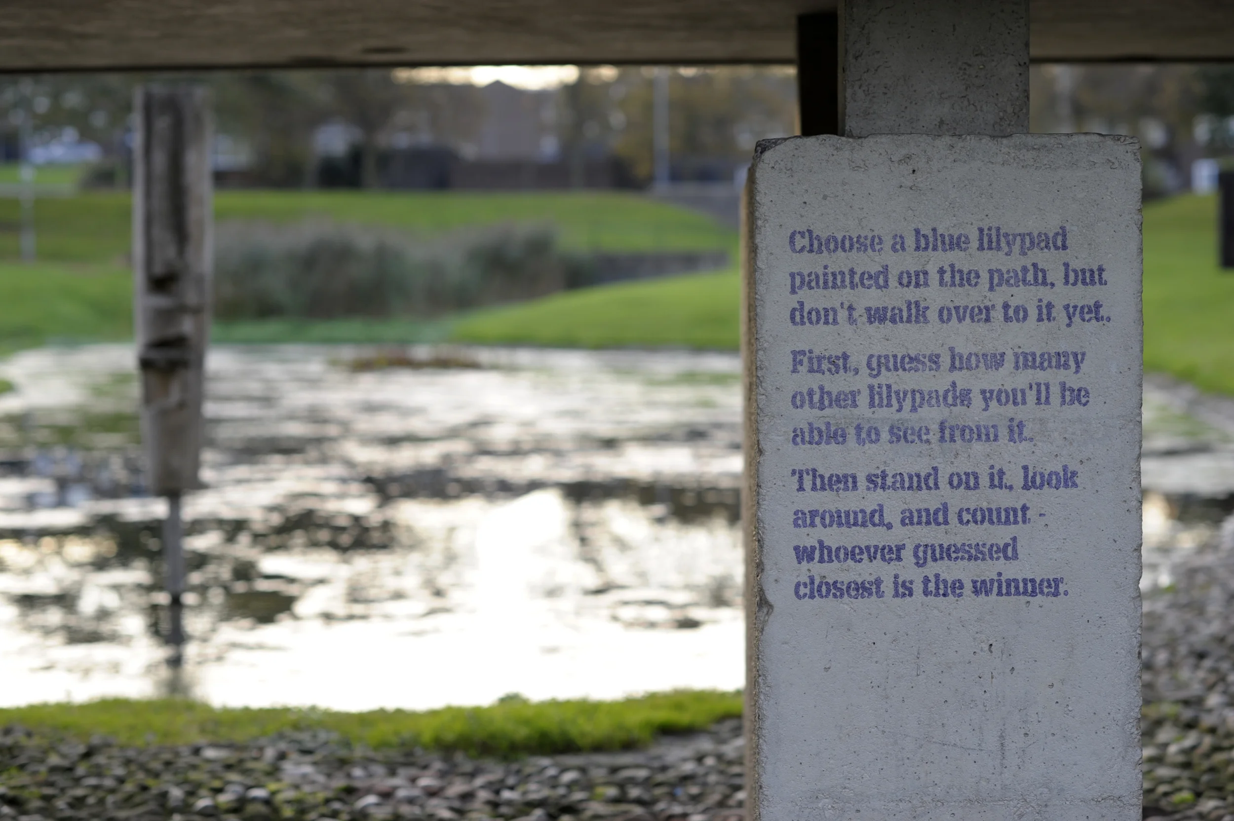 Picture by Colin Davison