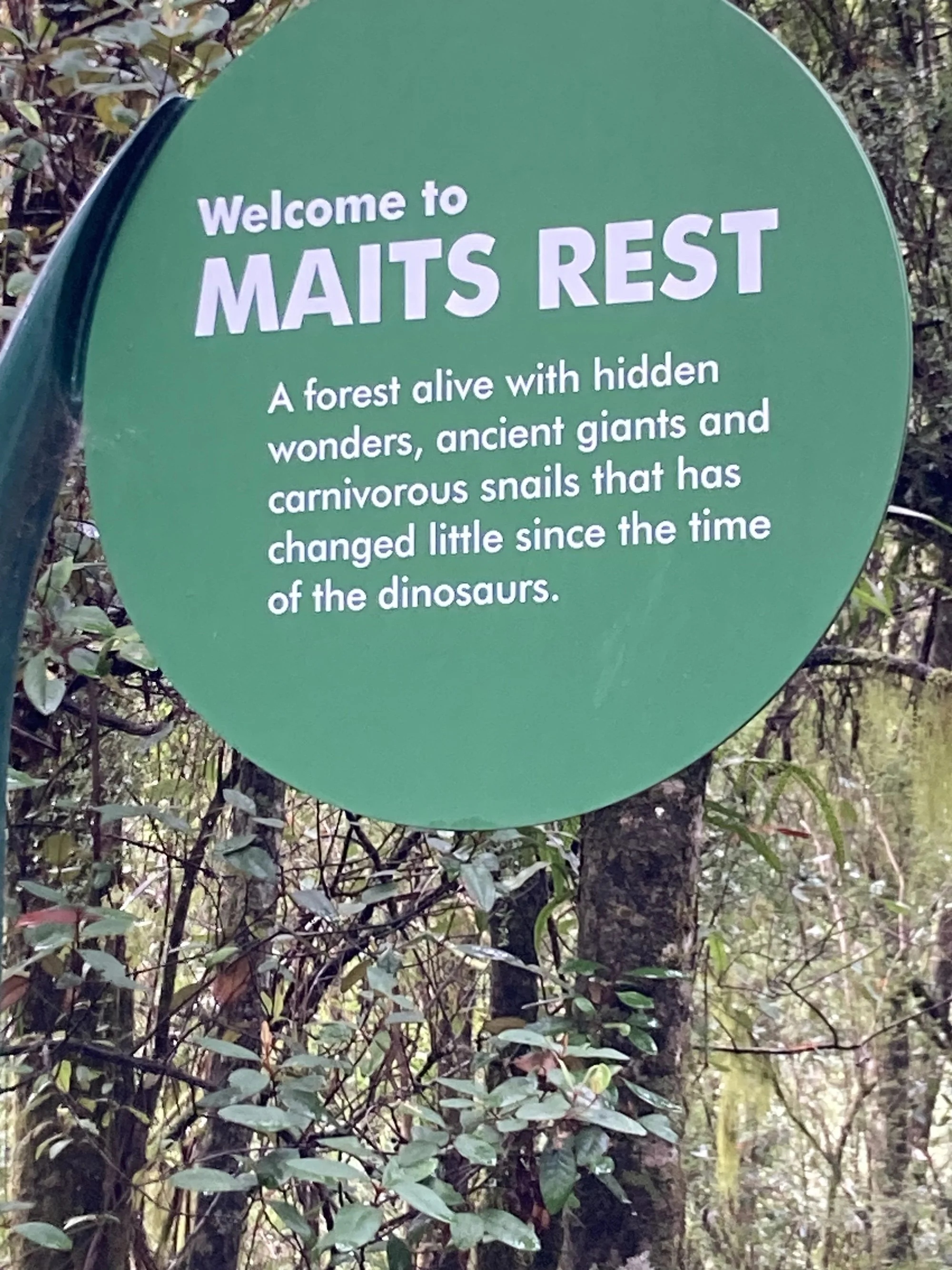 maits rest.jpg