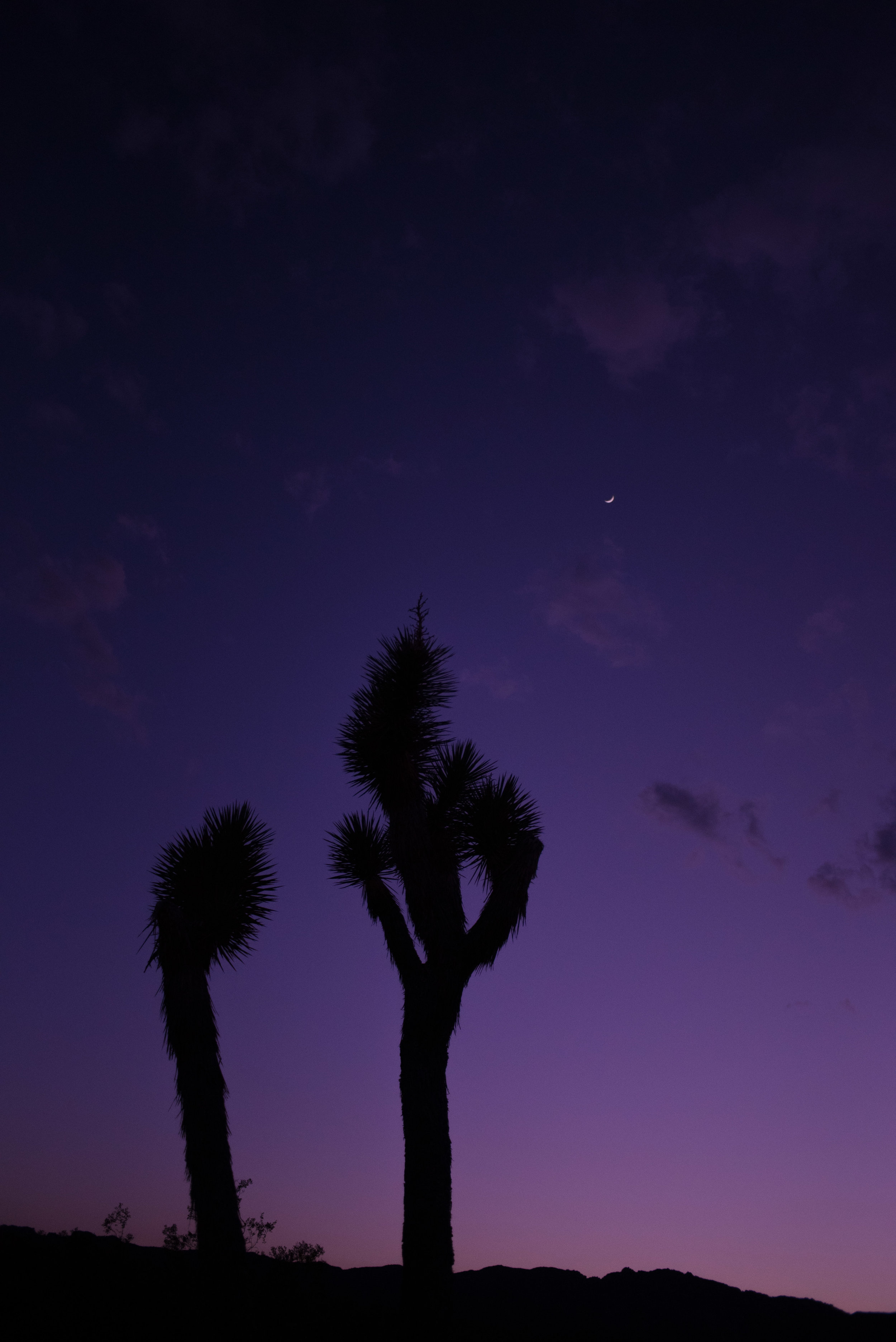 _DSC5967.jpg