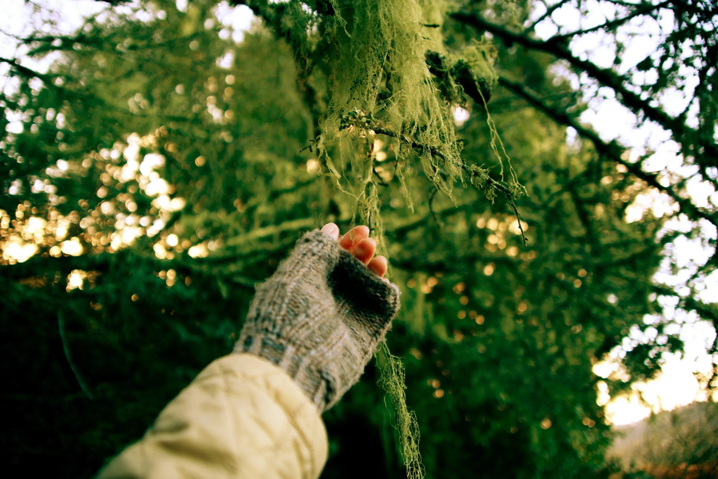 8569256733_5e18cd7ea1_o.jpg