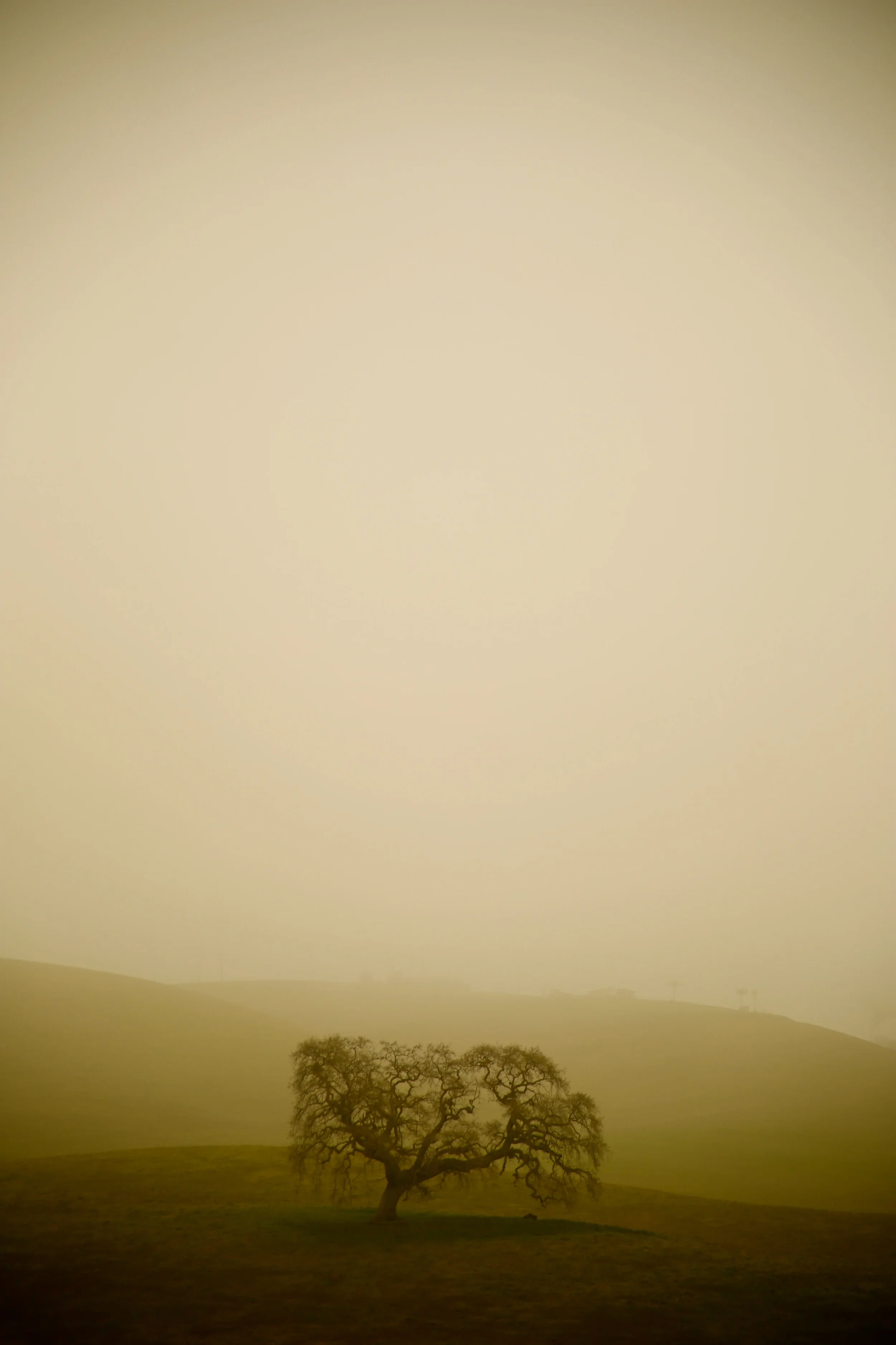 8570322400_fd5866c832_o.jpg
