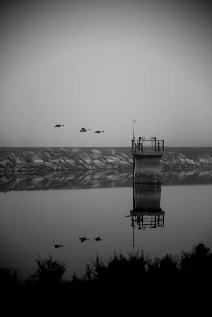 10042612766_a8ce29ff81_b.jpg