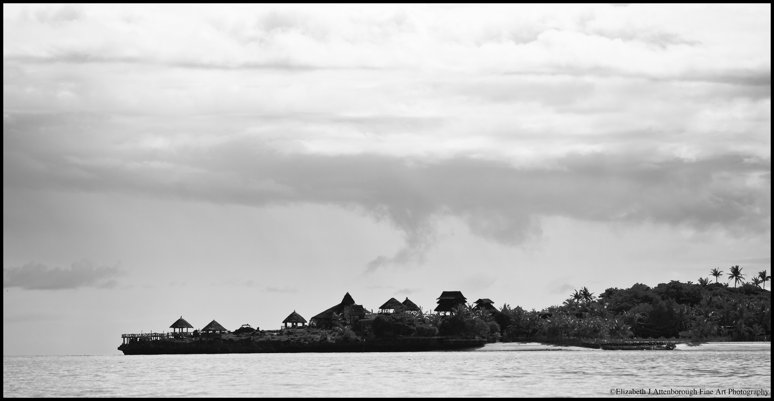 Alligator Island