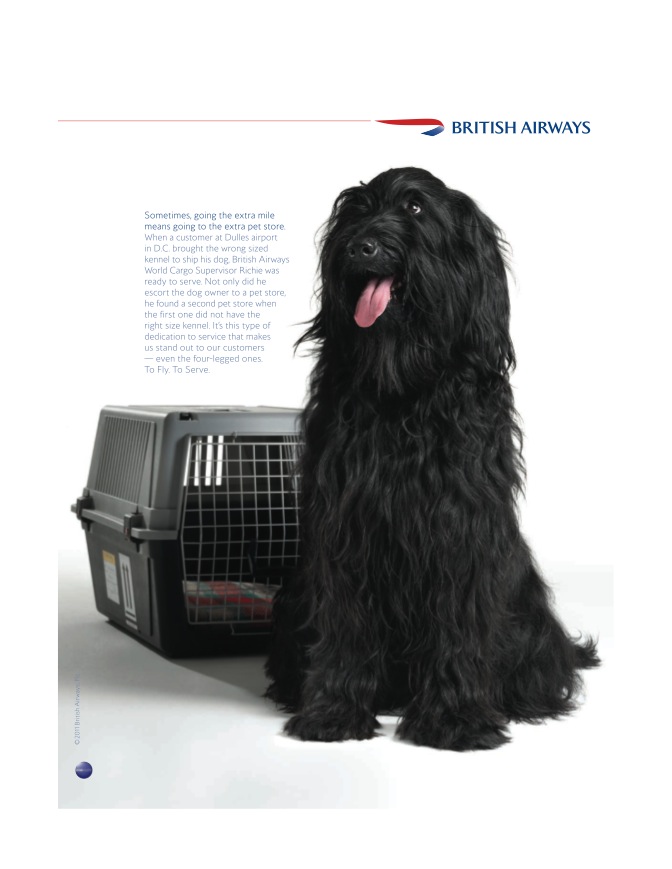 ba_dog.jpg