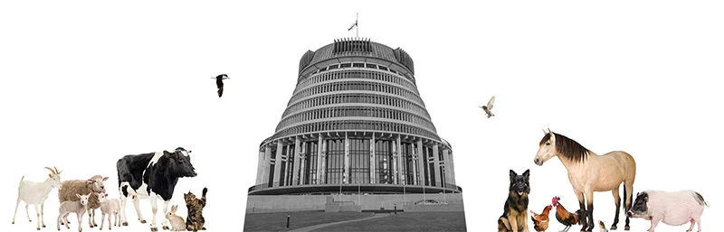 Image courtesy of Animal Agenda Aotearoa