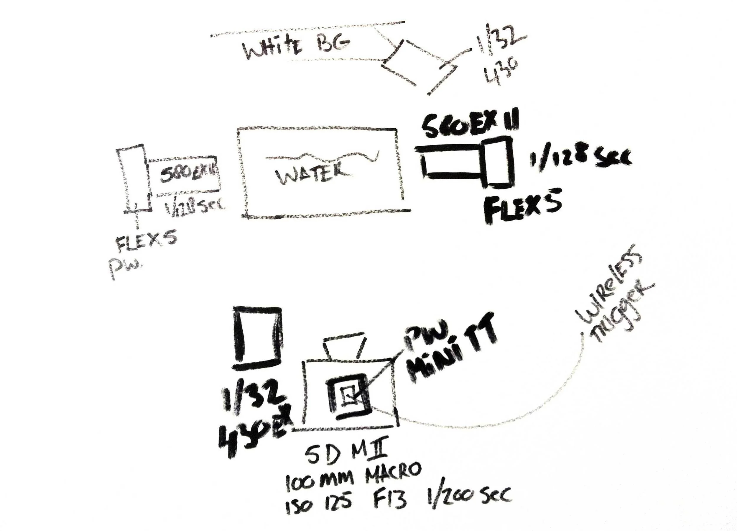 fruitshoot setup
