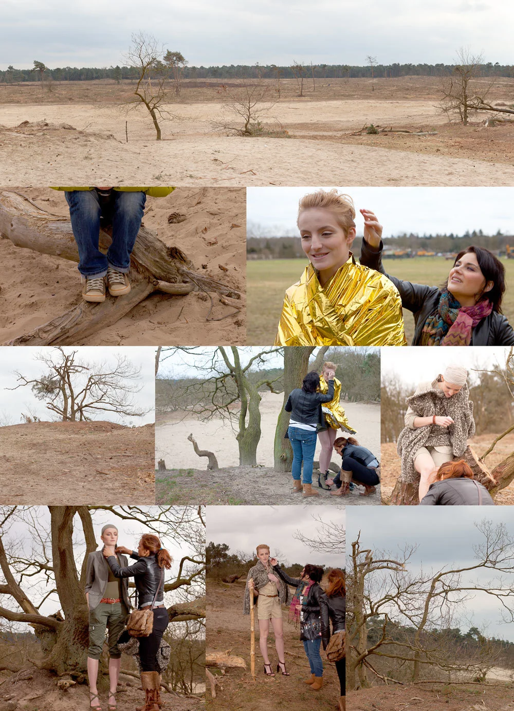 behind the scenes safari