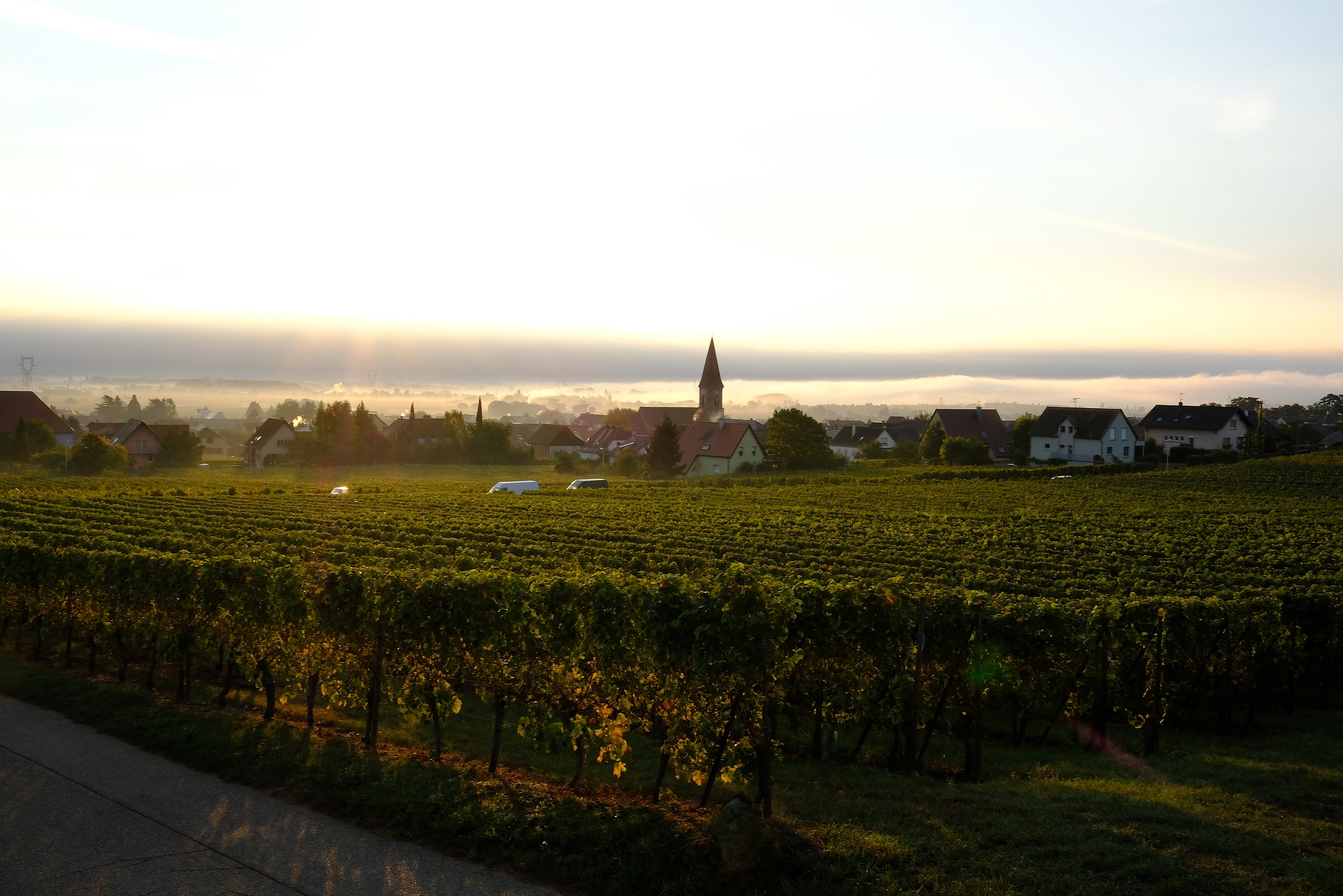 fotoreportage-wijn produceren-Vignoble des 2 lunes-Bosman Wijnkopers-452.jpg