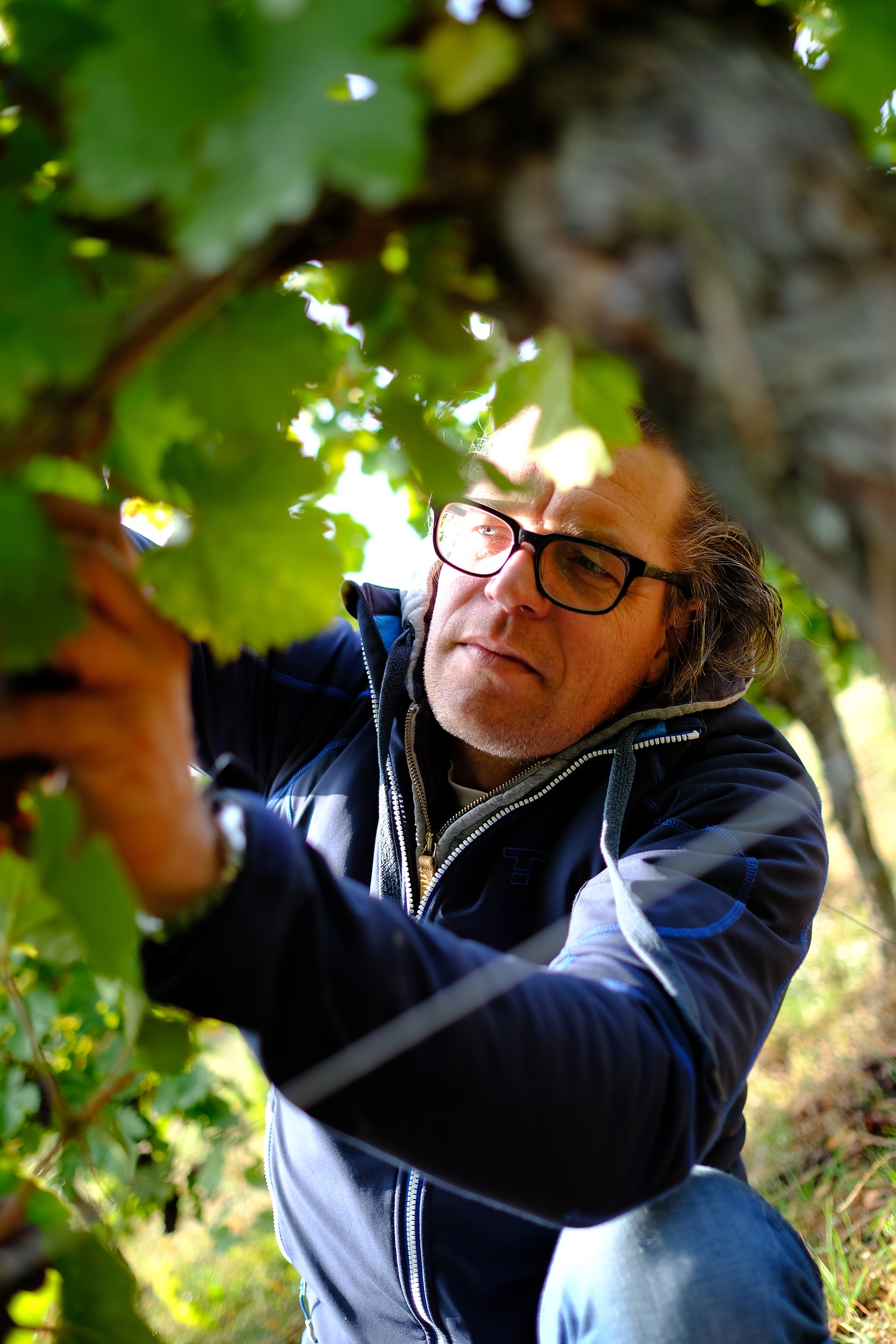 fotoreportage-wijn produceren-Vignoble des 2 lunes-Bosman Wijnkopers-460.jpg