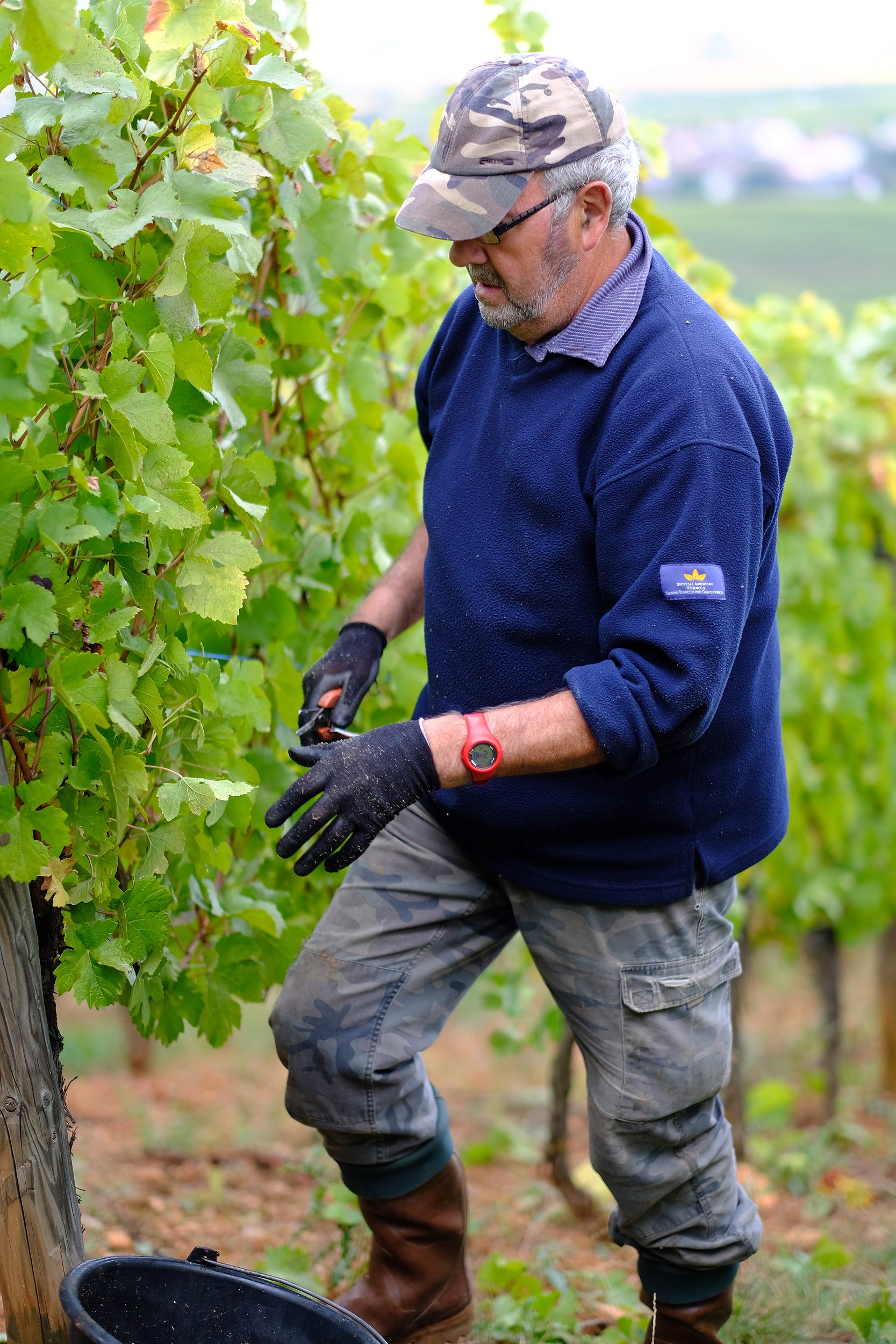 fotoreportage-wijn produceren-Vignoble des 2 lunes-Bosman Wijnkopers-468.jpg