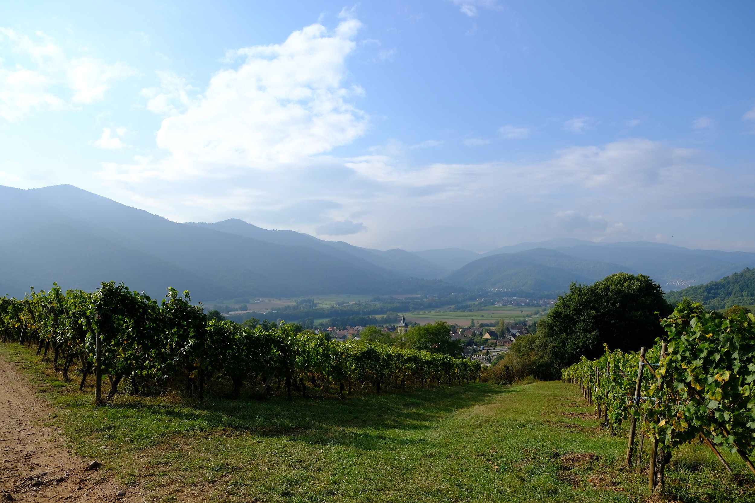 fotoreportage-wijn produceren-Vignoble des 2 lunes-Bosman Wijnkopers-472.jpg