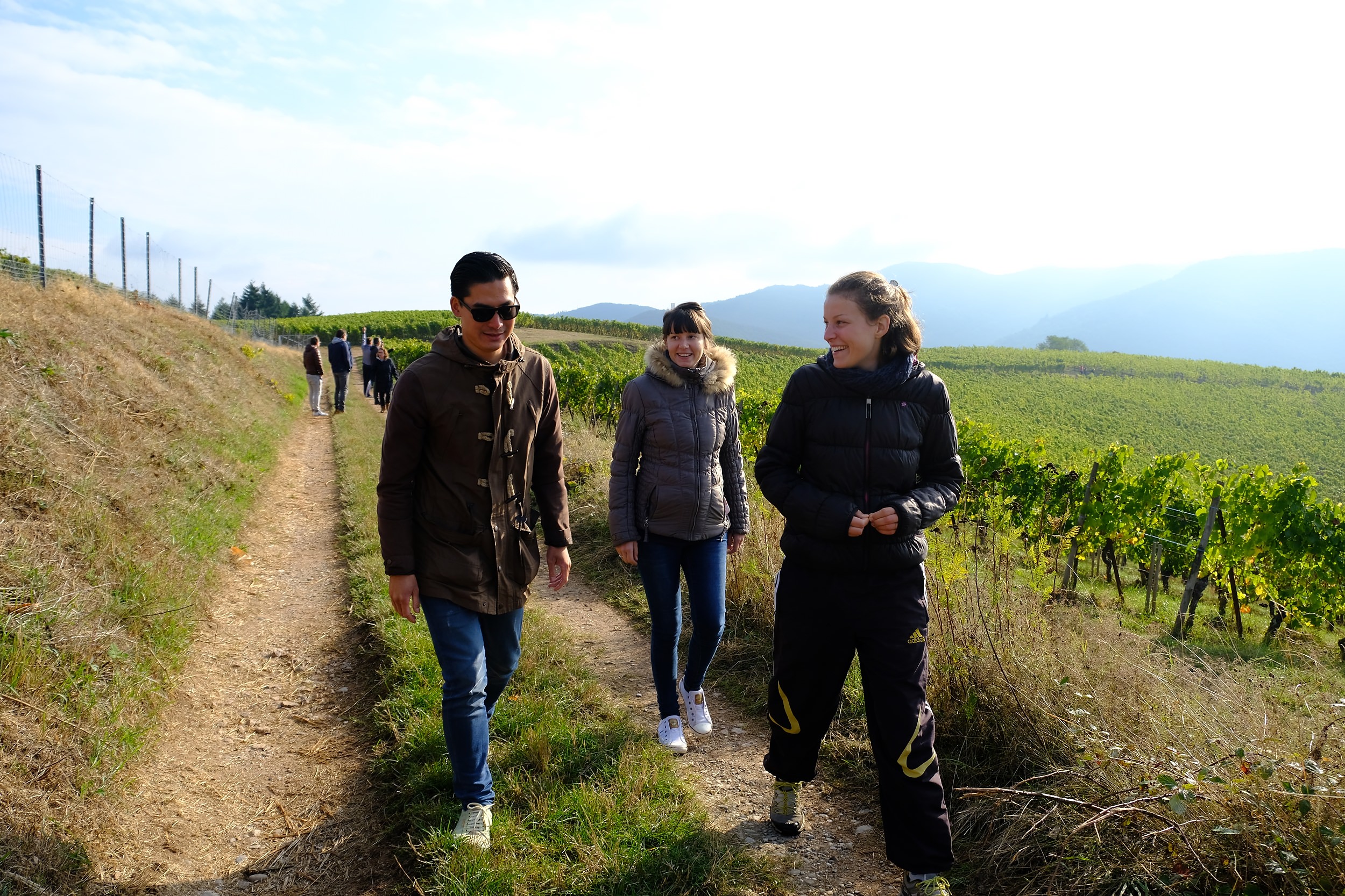 fotoreportage-wijn produceren-Vignoble des 2 lunes-Bosman Wijnkopers-473.jpg