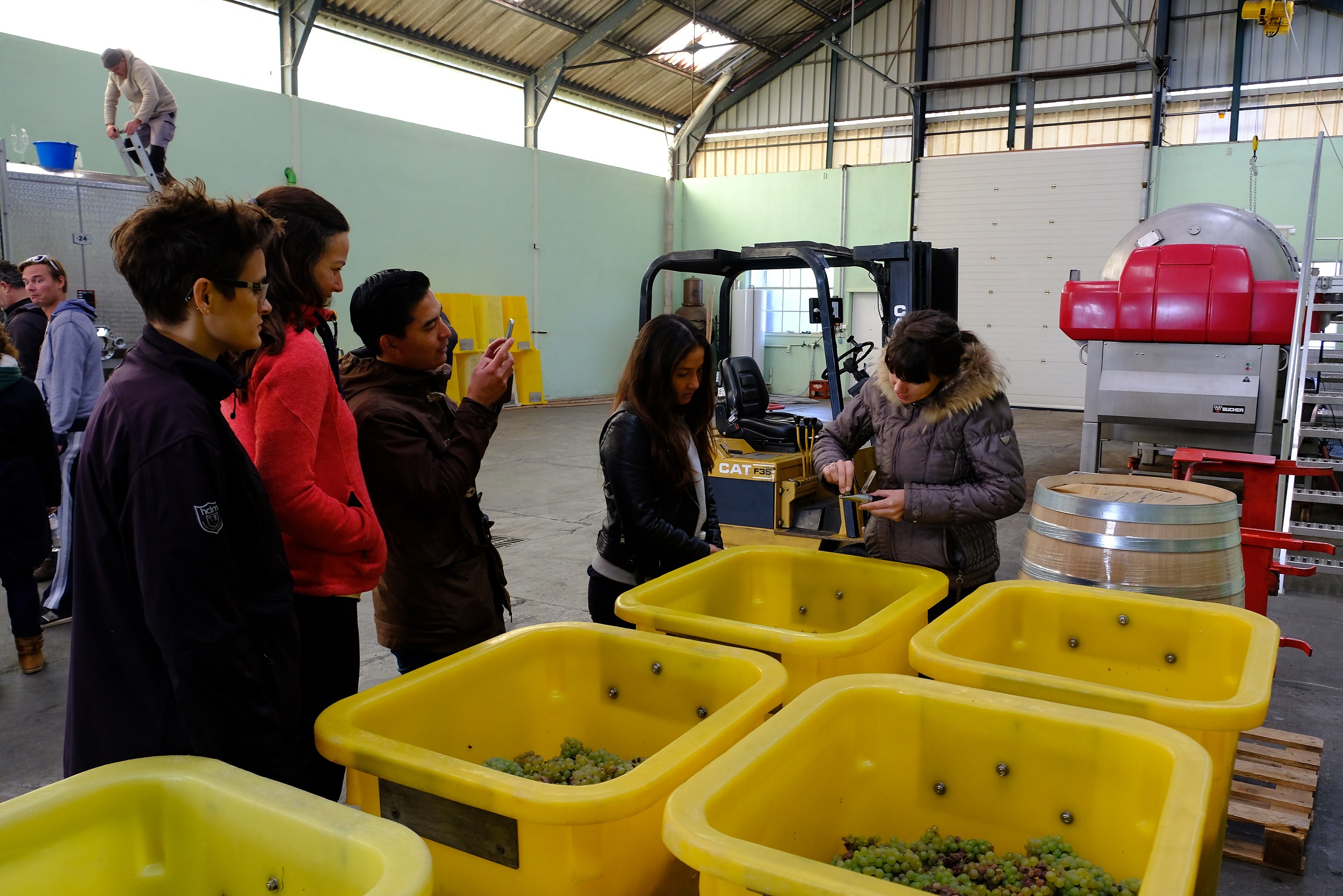 fotoreportage-wijn produceren-Vignoble des 2 lunes-Bosman Wijnkopers-475.jpg