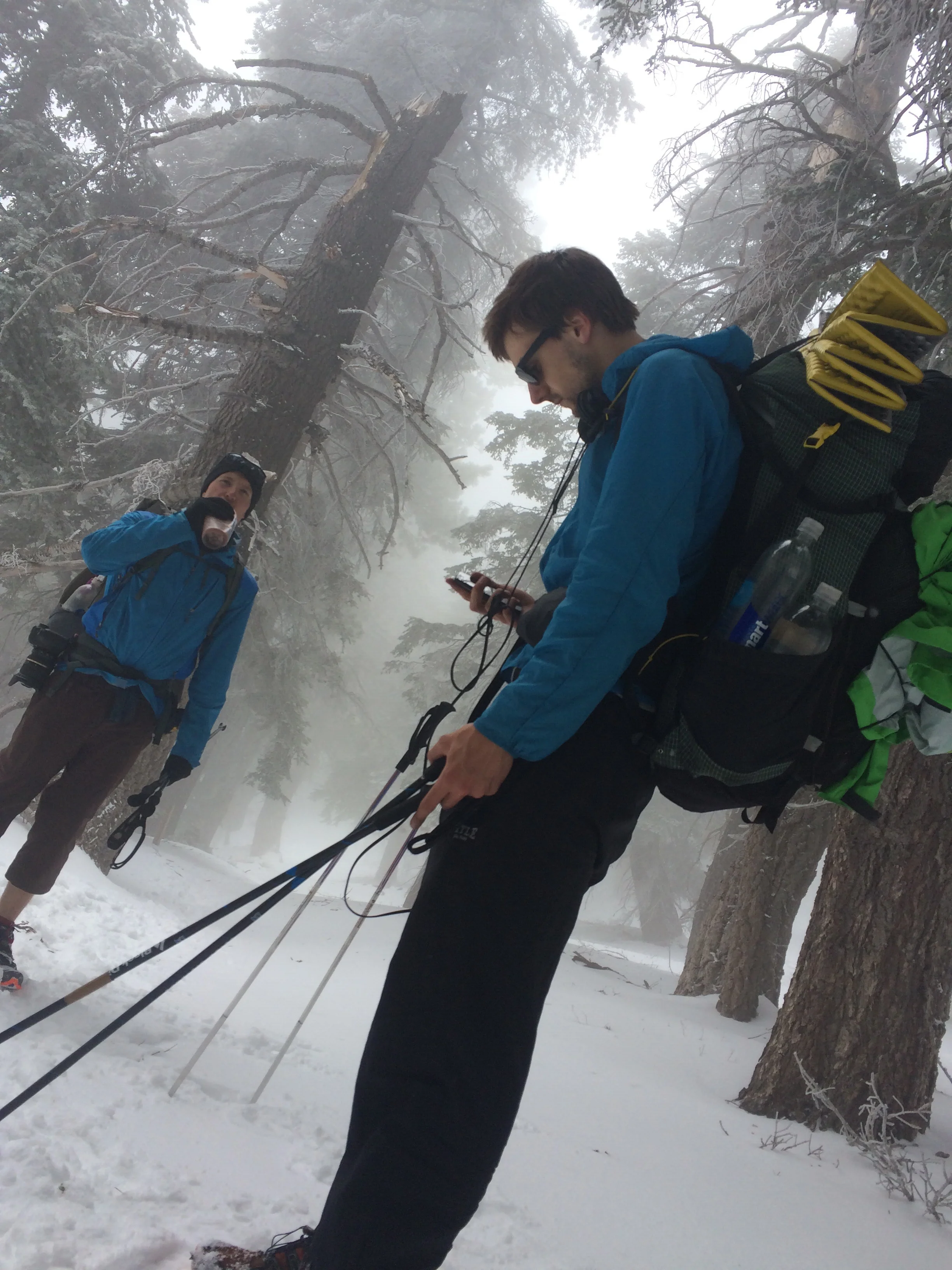 Back on the PCT, hiked the Devil's Slide trail out of Idyllwild. 