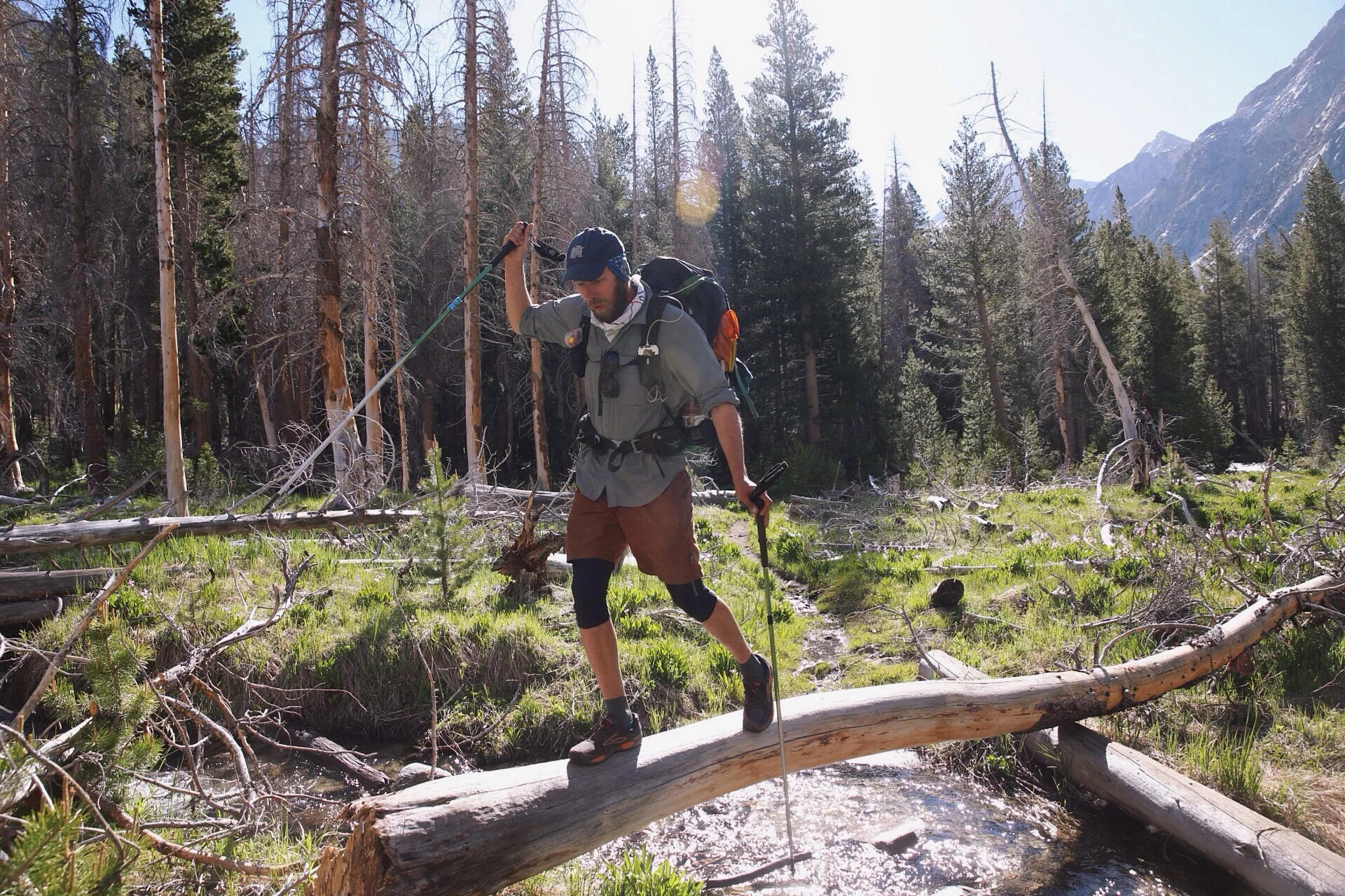 I love when logs are laid out over stream crossings. 