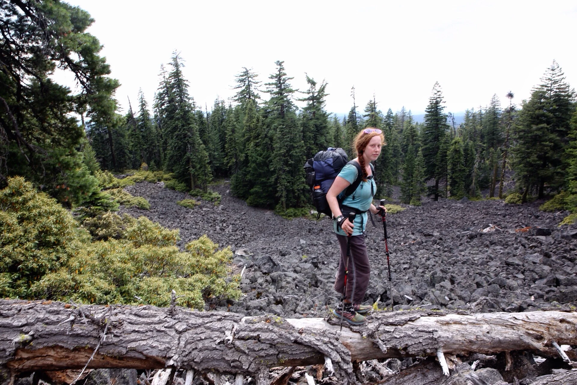 Frizzle and lava rock fields. 