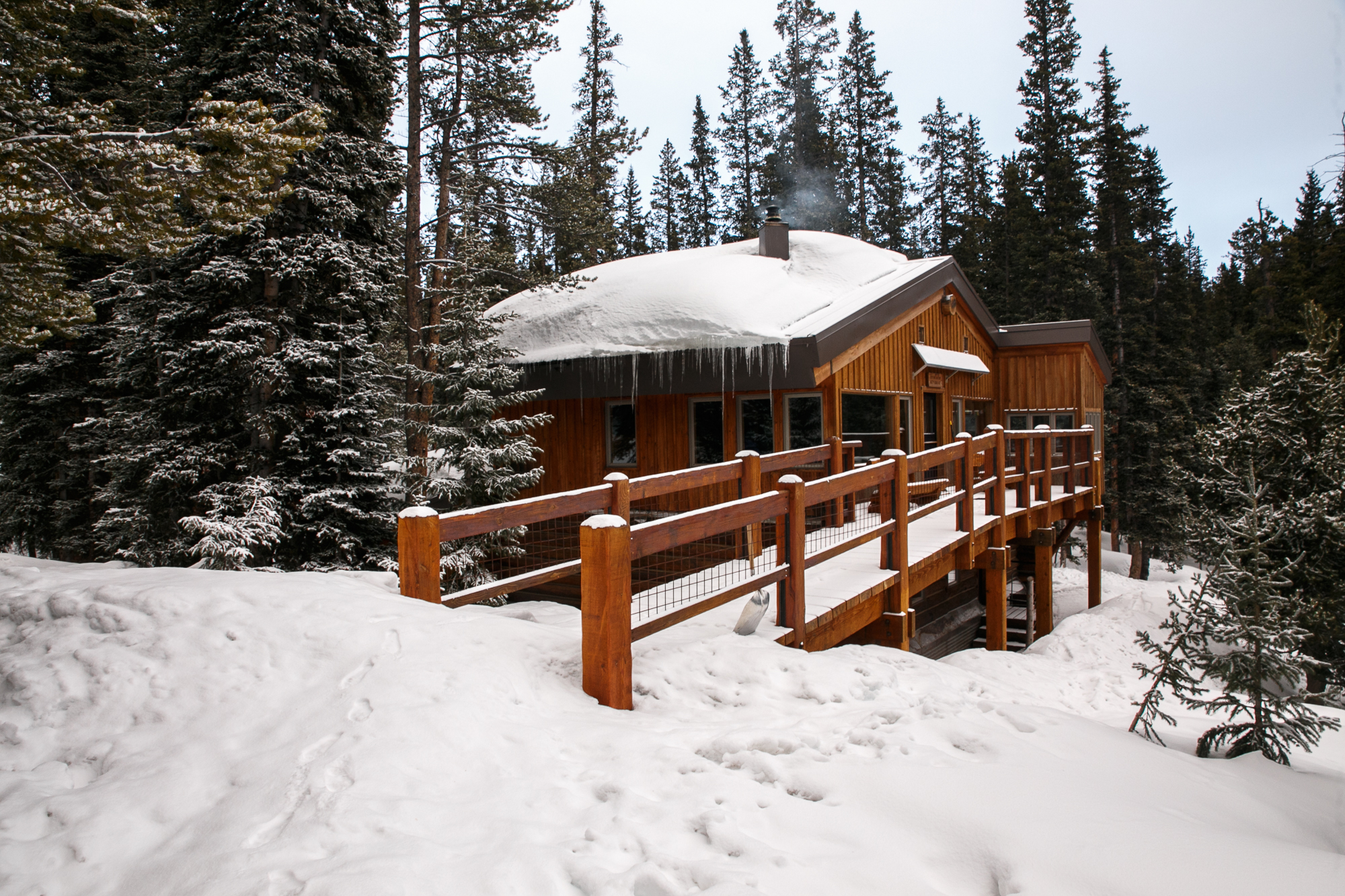Betty Bear Hut