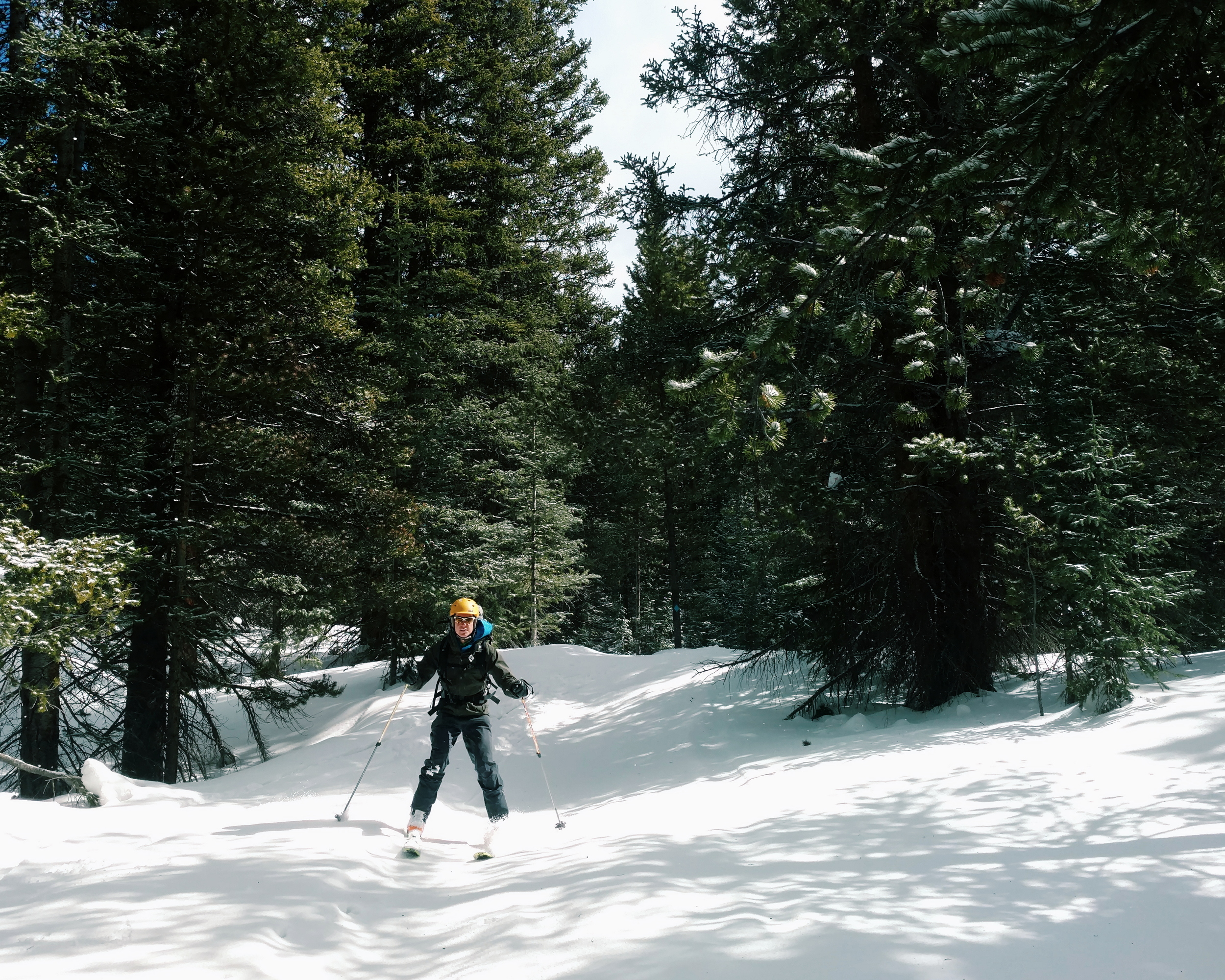 Skiing down through the woods; nearing the end of our trip. photo/molly krumholz