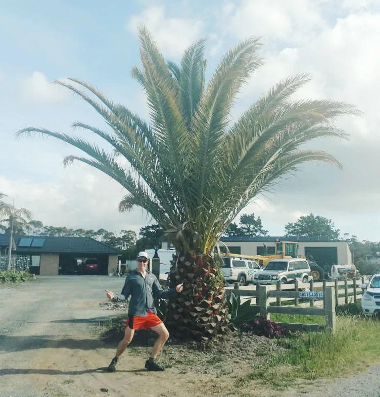 We found a giant "pineapple" after being dropped off by the police officer. photo/ Molly