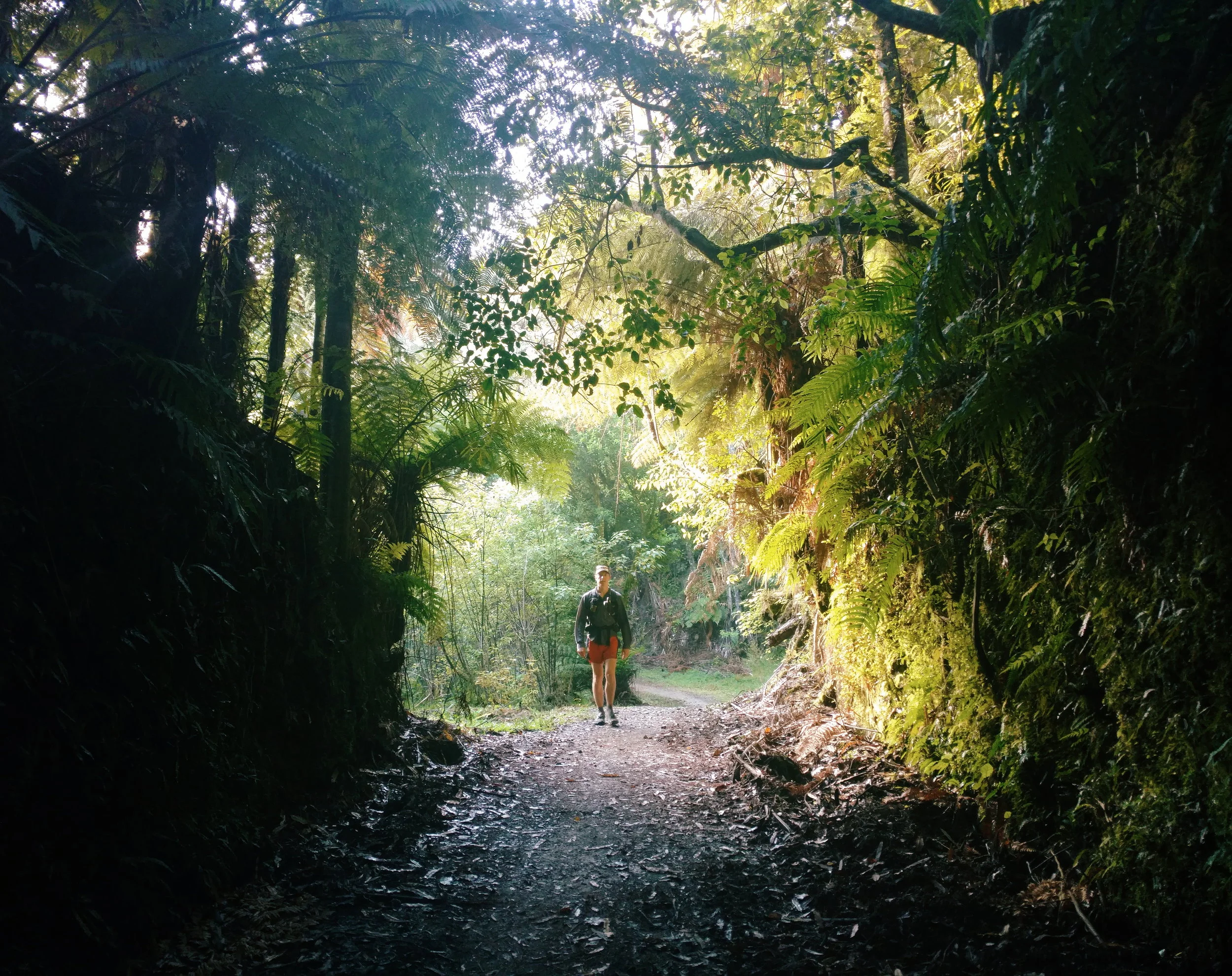 The track follows an old railway grade, sometimes carved through the rock with walls covered in moss a foot deep or more. photo/ Molly