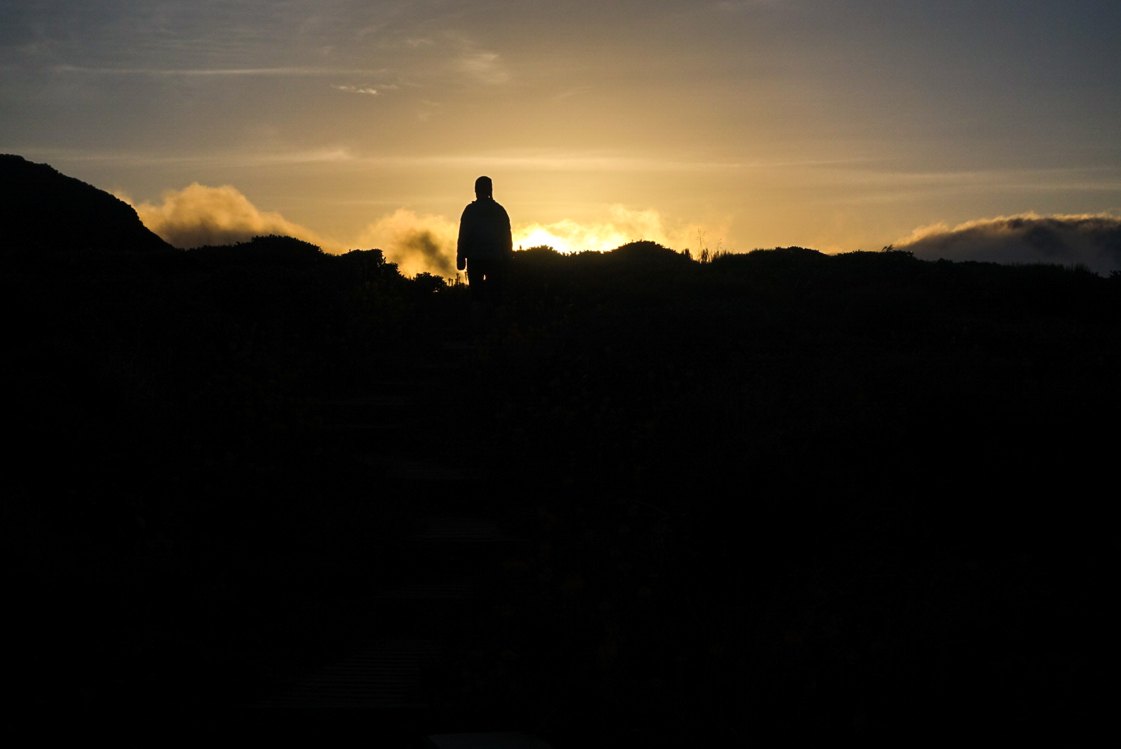 photo/ Jonathan